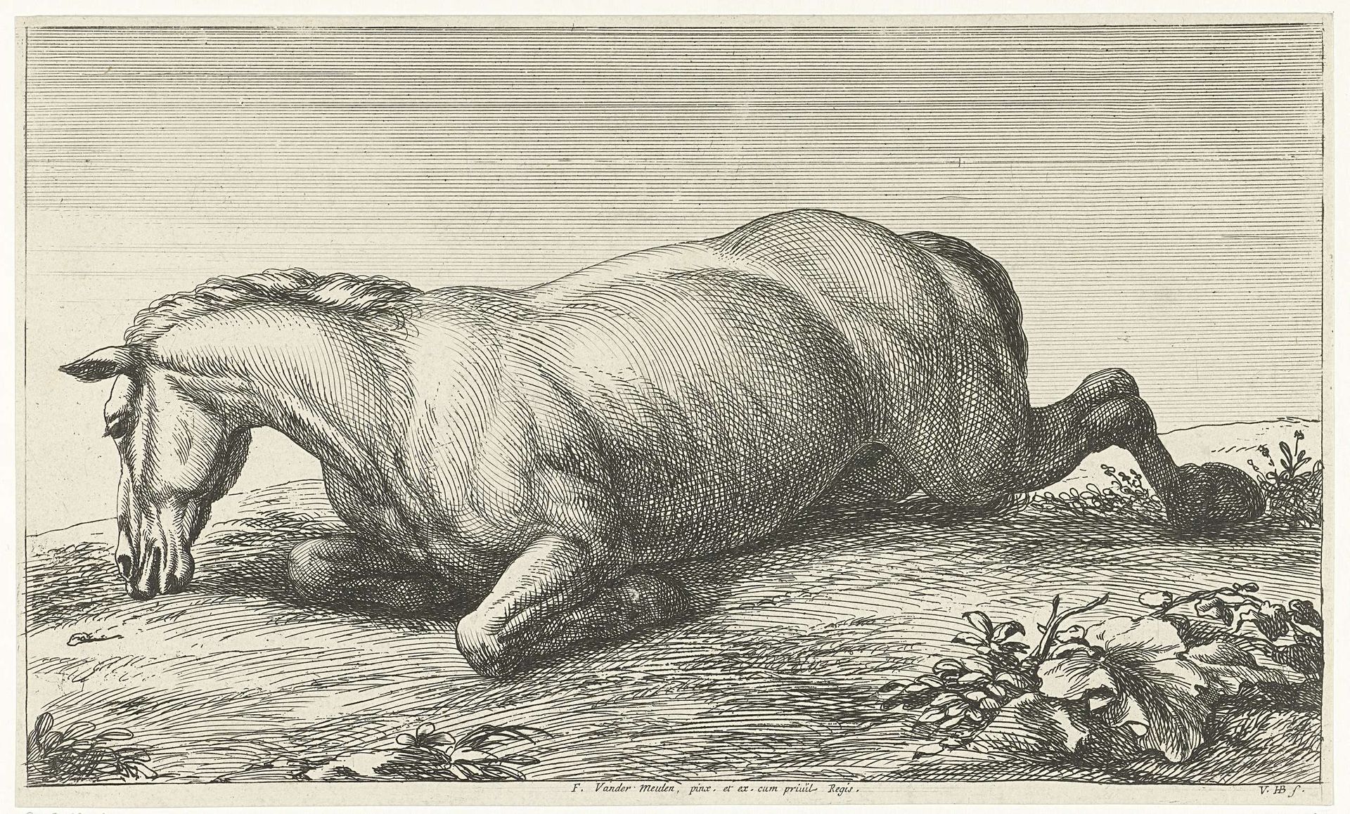 Gesneuveld paard op de buik liggend by Jan van Huchtenburg