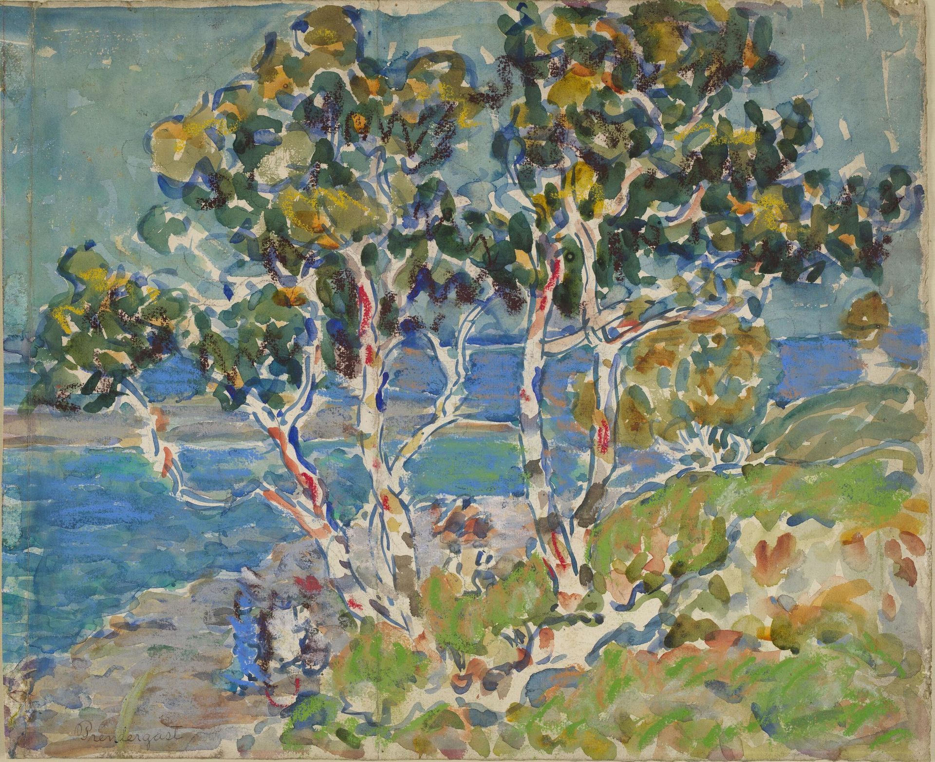 Birches by Maurice Prendergast