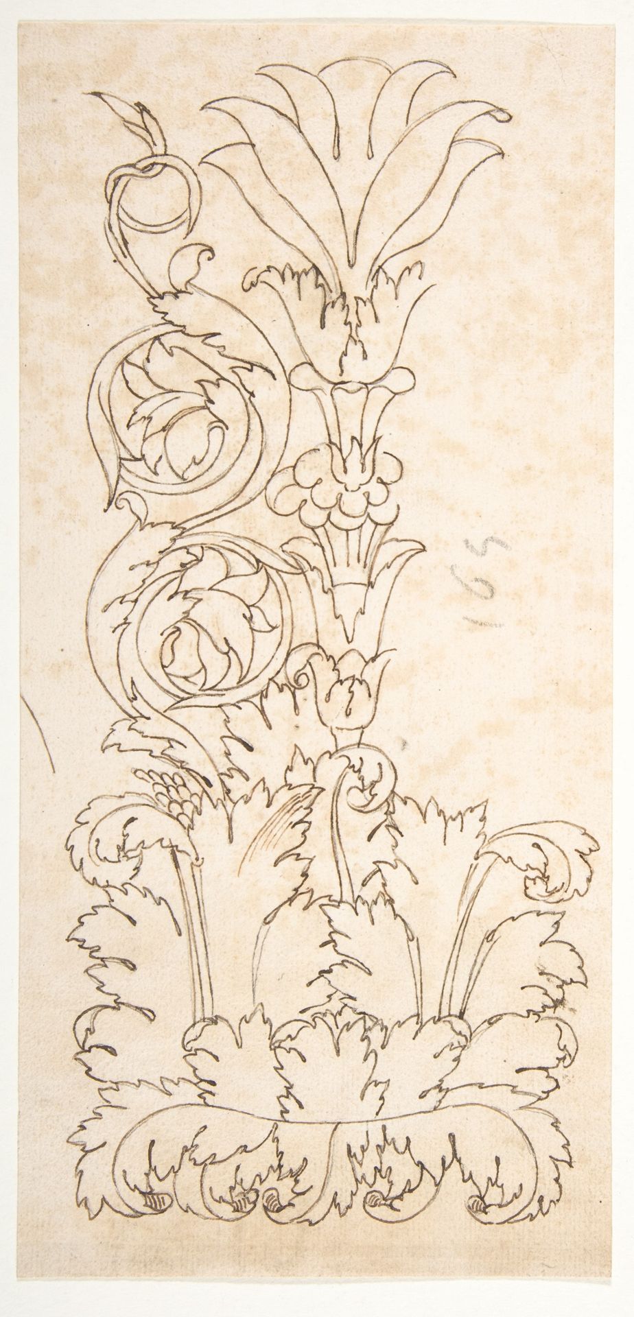 Ornamental drawings (recto) blank (verso) by Anonymous