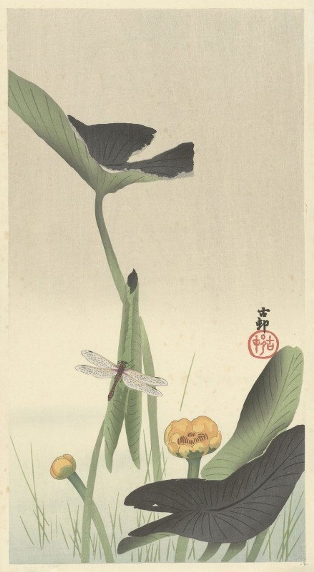 Dragonfly and lotus by Ohara Koson