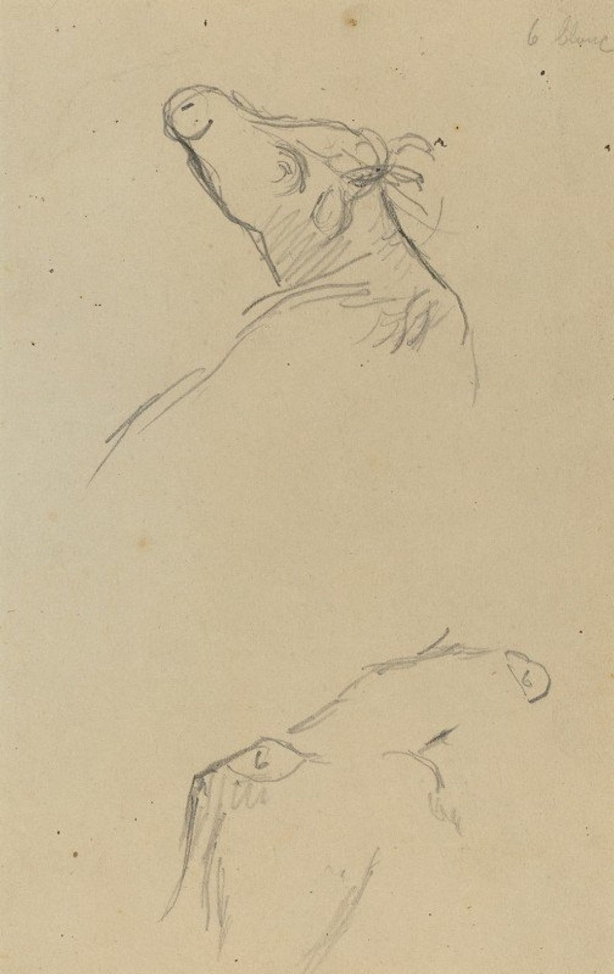 Two Cow’s Heads by Paul Gauguin