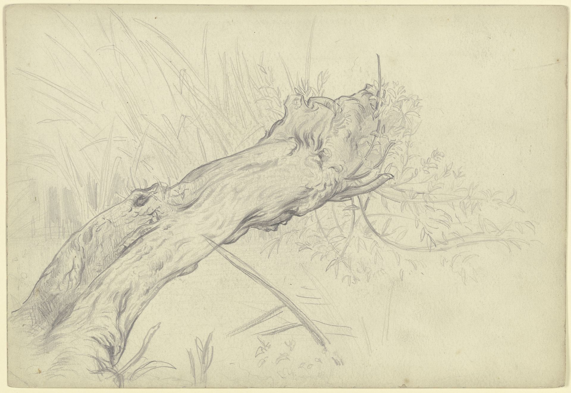 A crooked willow tree by Otto Scholderer