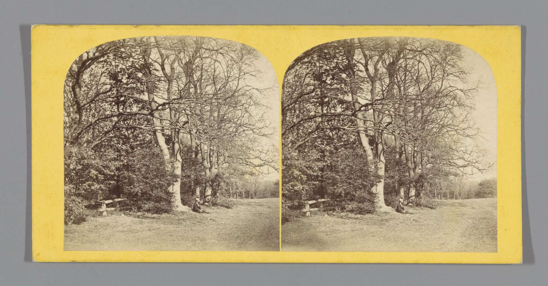 Bomen aan de rand van de Worsley Woods by Anonymous