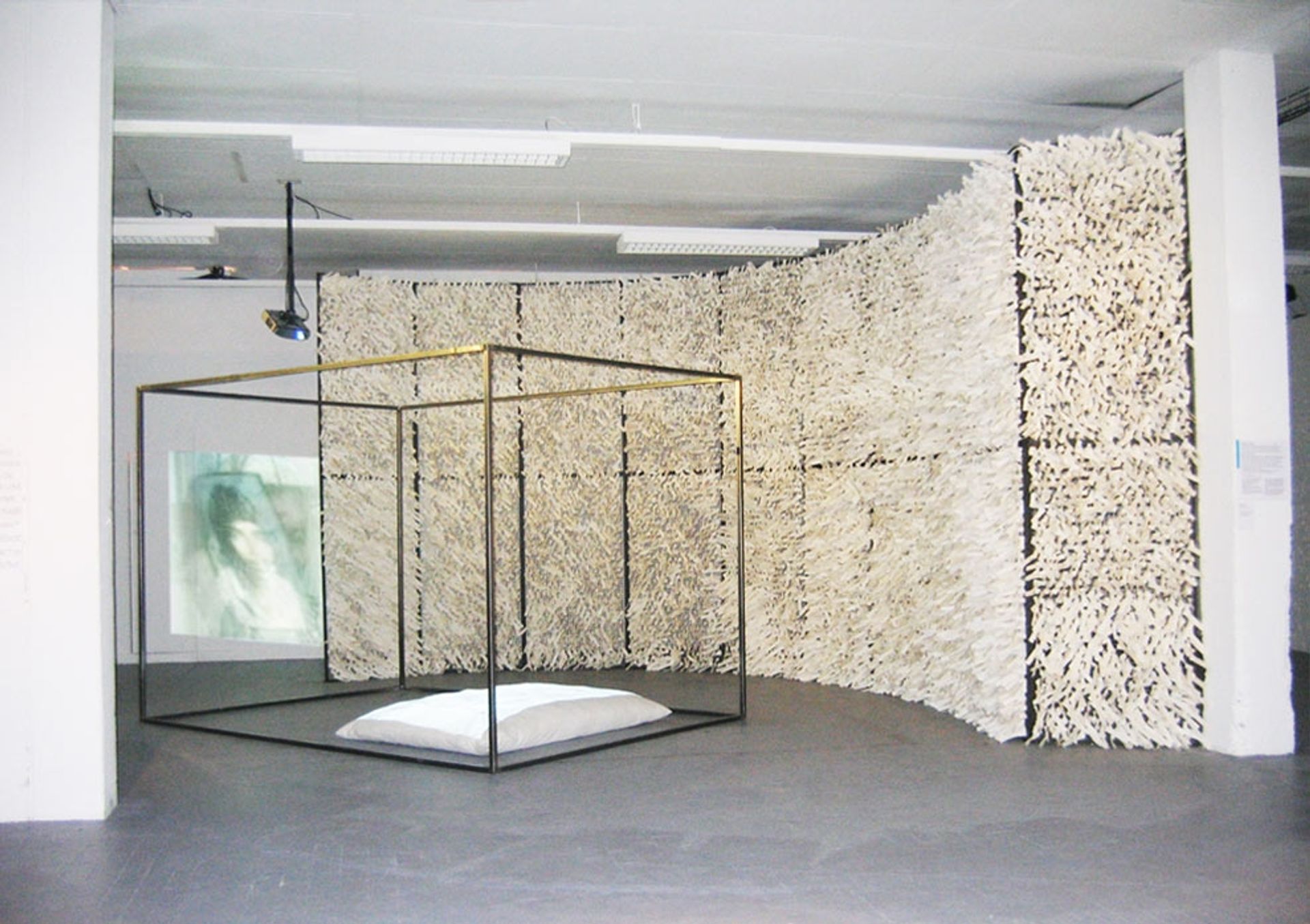 Between Memory and History by Navjot Altaf