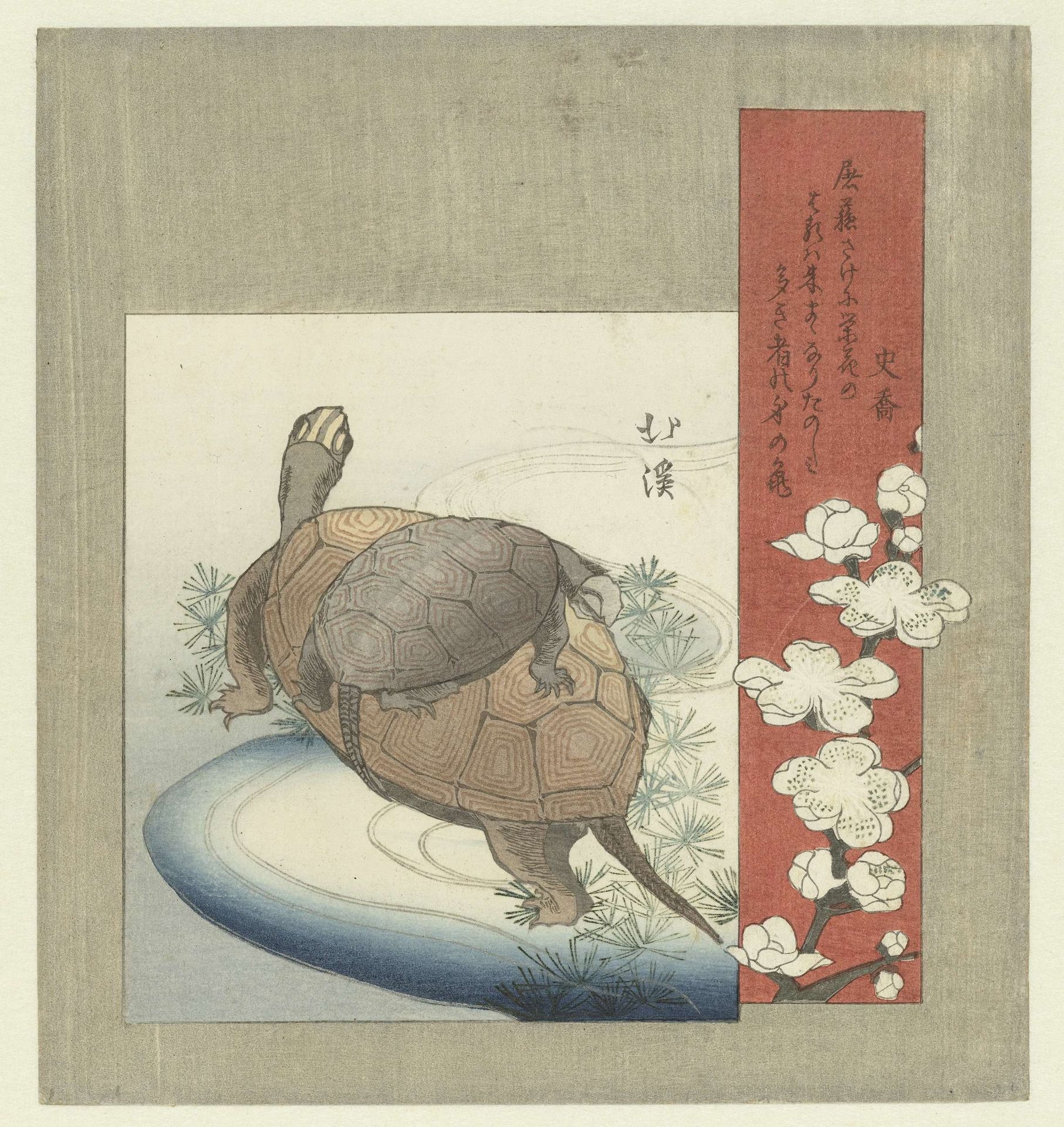 Schildpadden by Totoya Hokkei