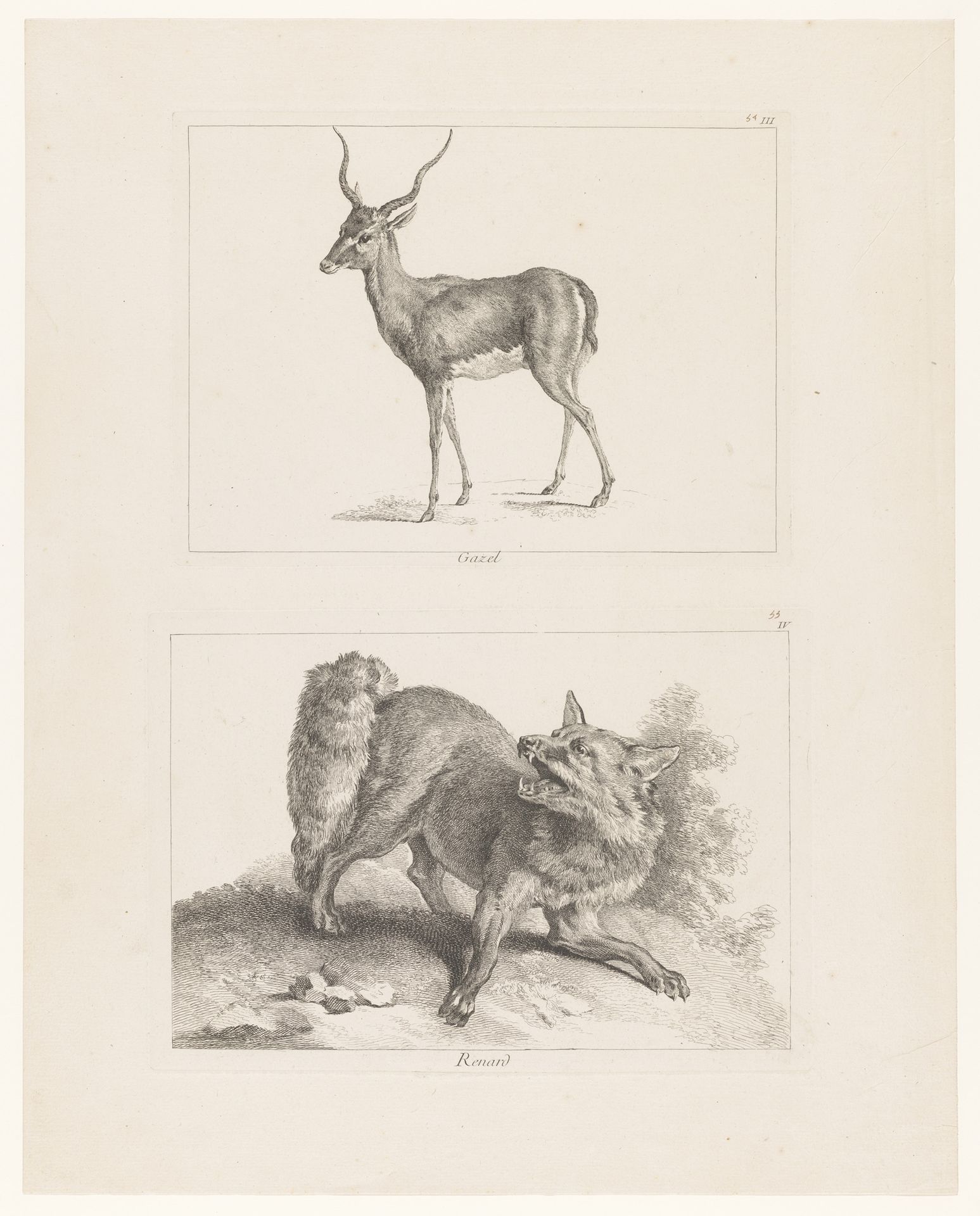 Blad met twee platen: gazelle en vos by Johan Eric Rehn