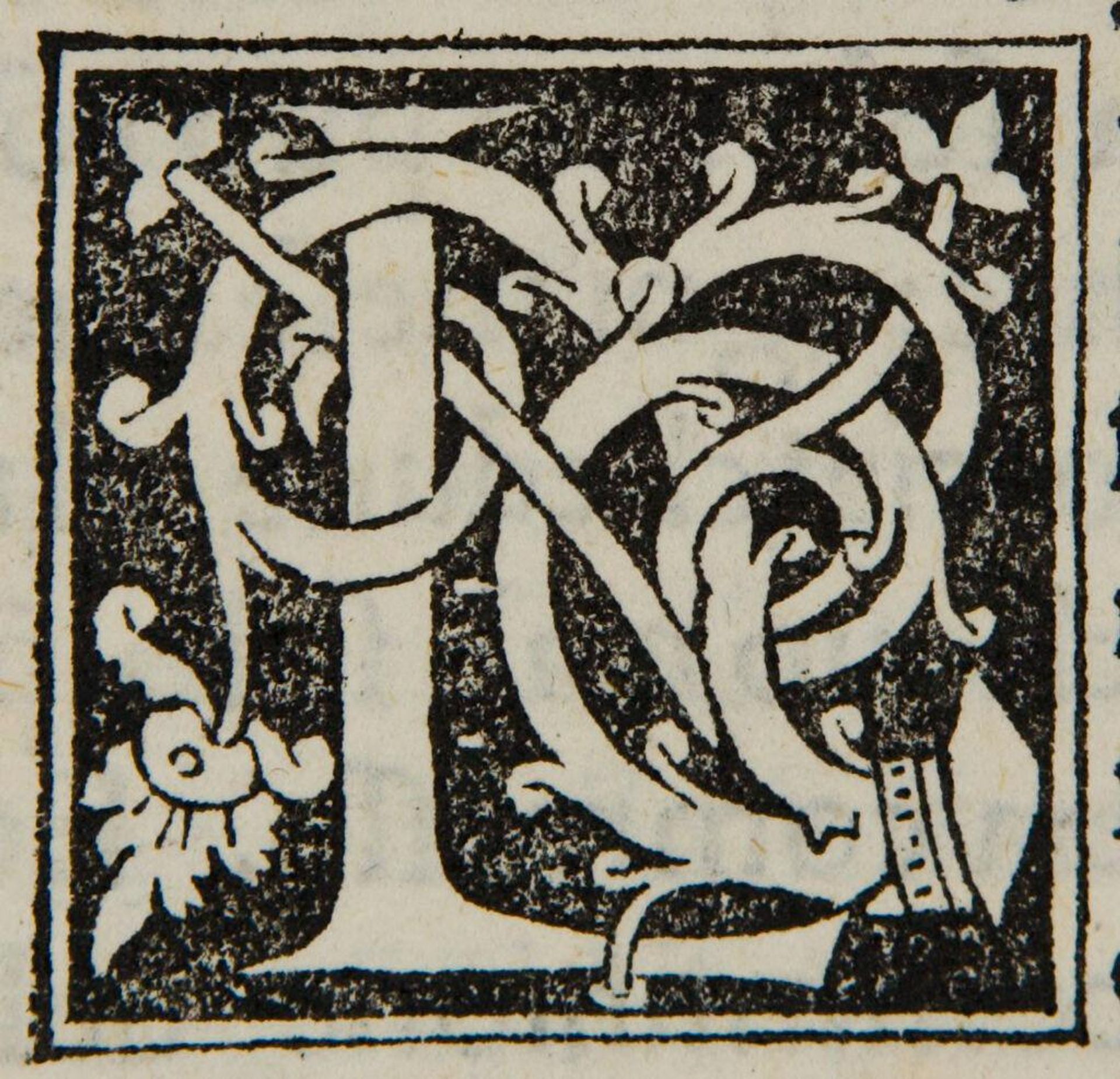 Letter L by Anonymous