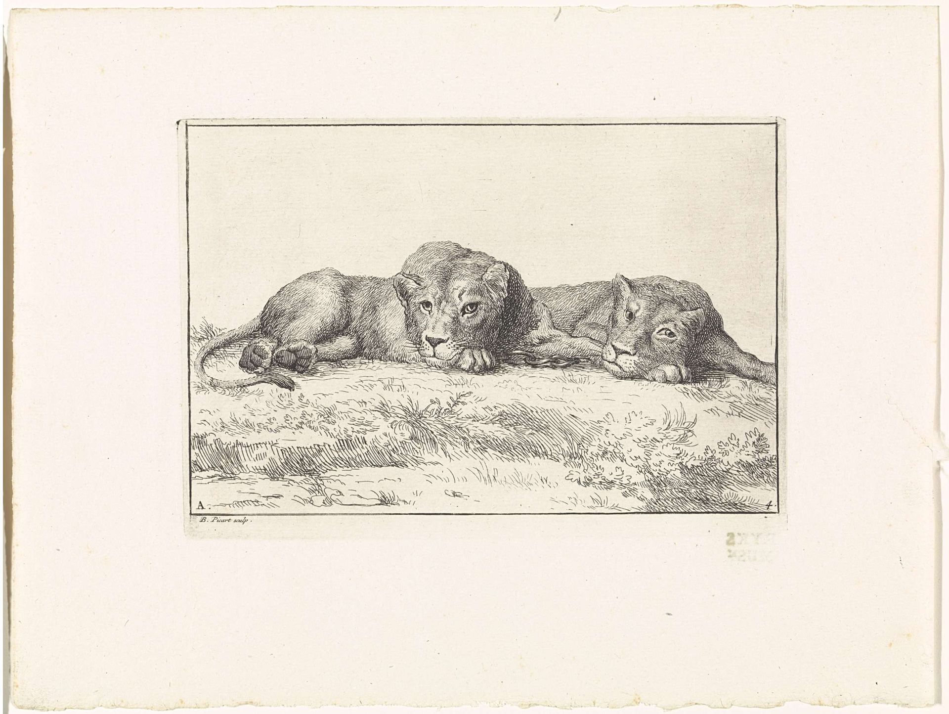 Landschap met twee leeuwen by Bernard Picart