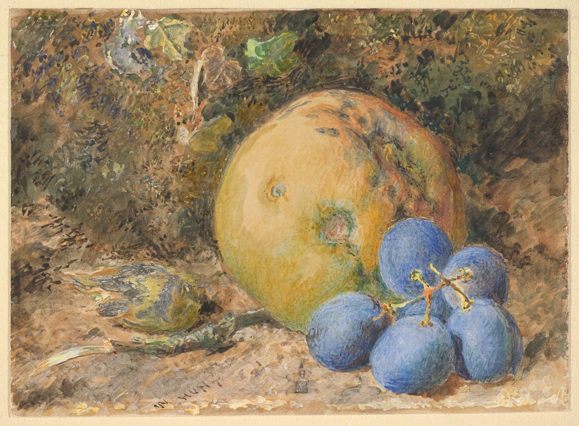 An Apple, Grapes and a Hazelnut on a Mossy Bank by William Henry Hunt