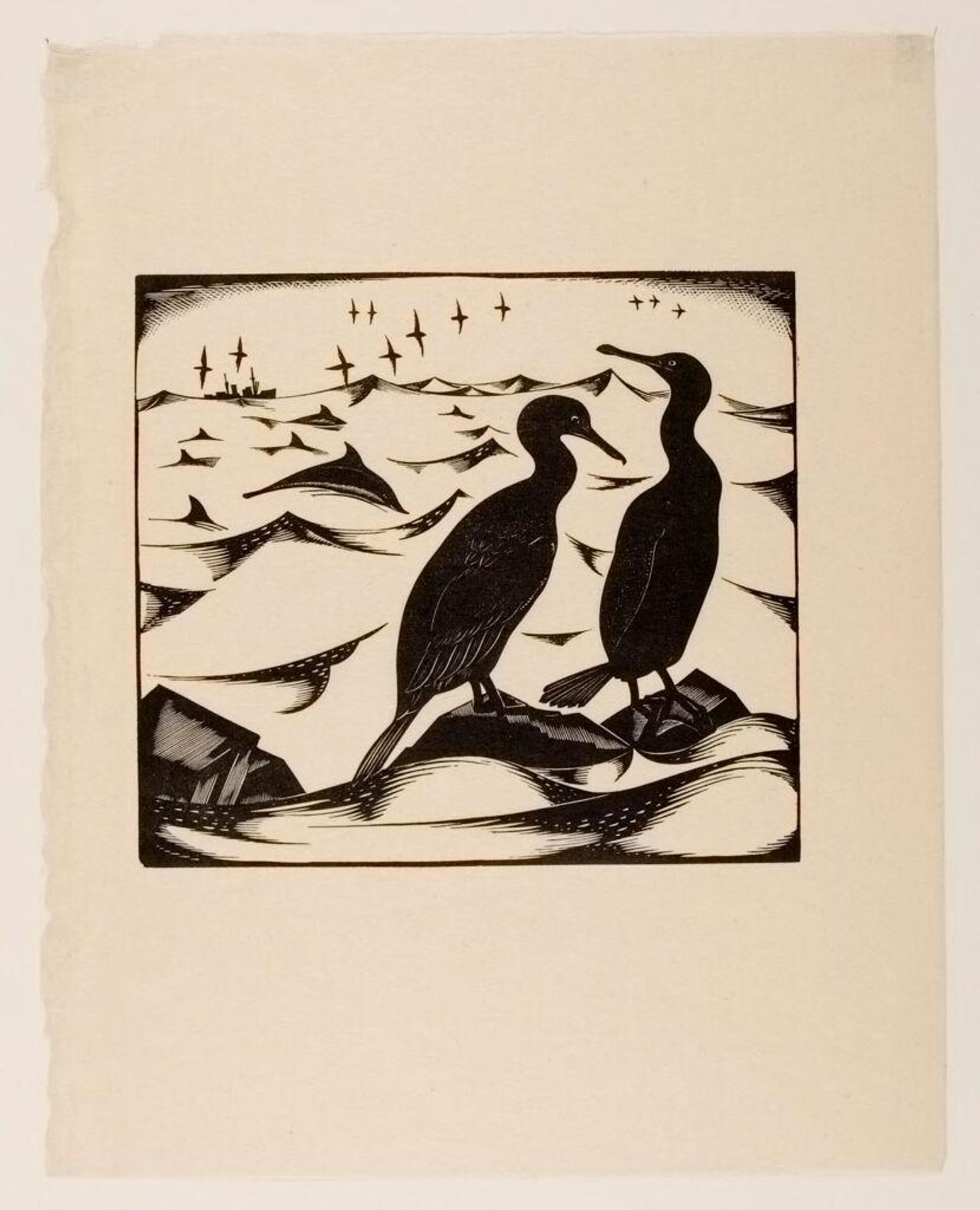 Cormorants by Robert John Gibbings