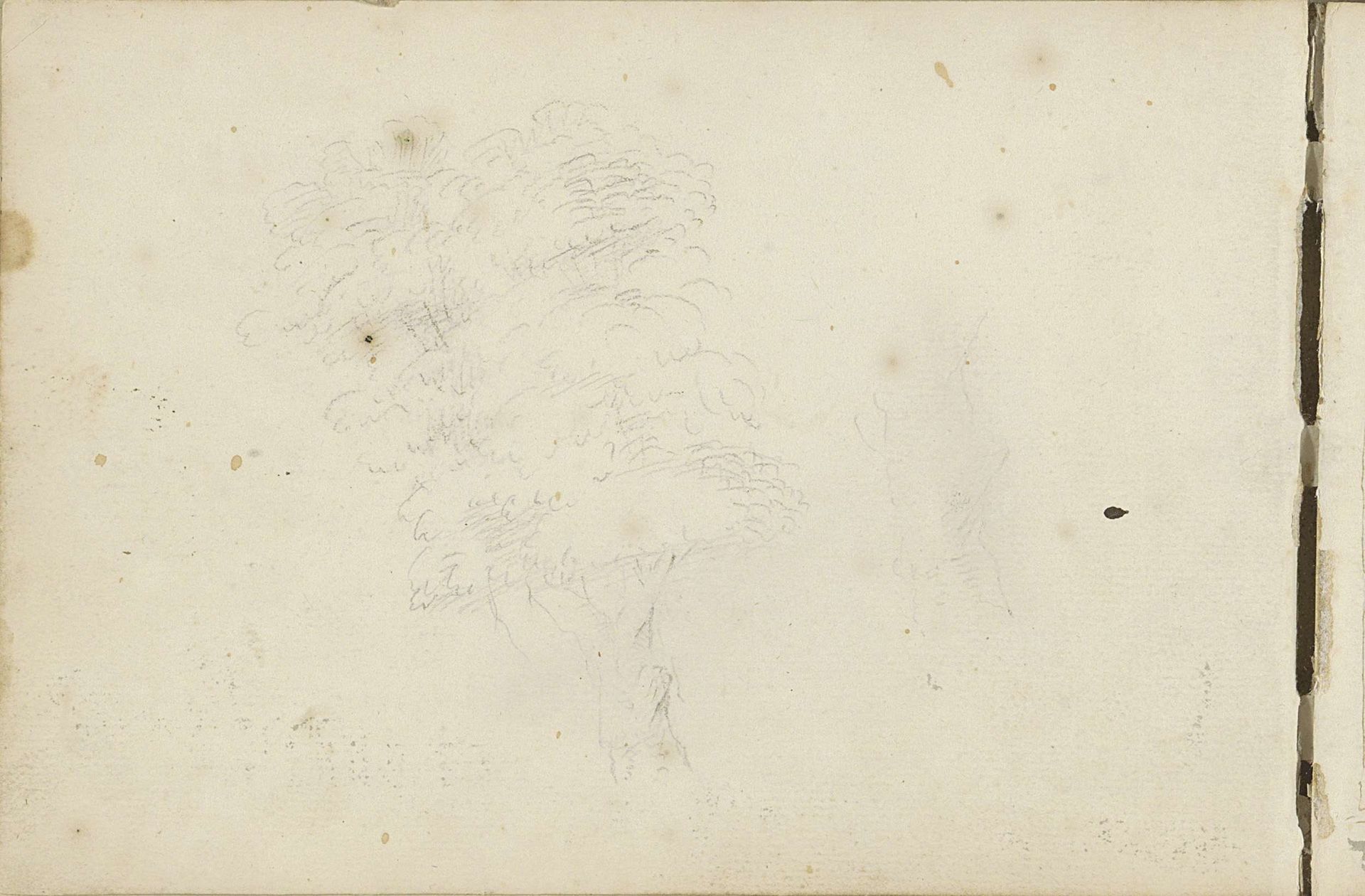 Boom by Abraham de (II) Haen