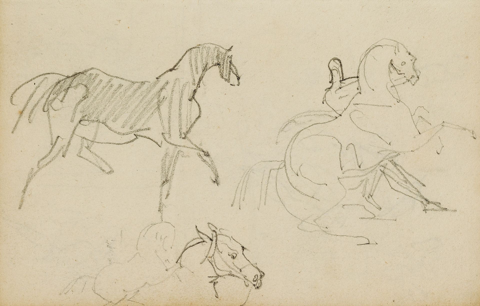 Three horse studies by Théodore Géricault