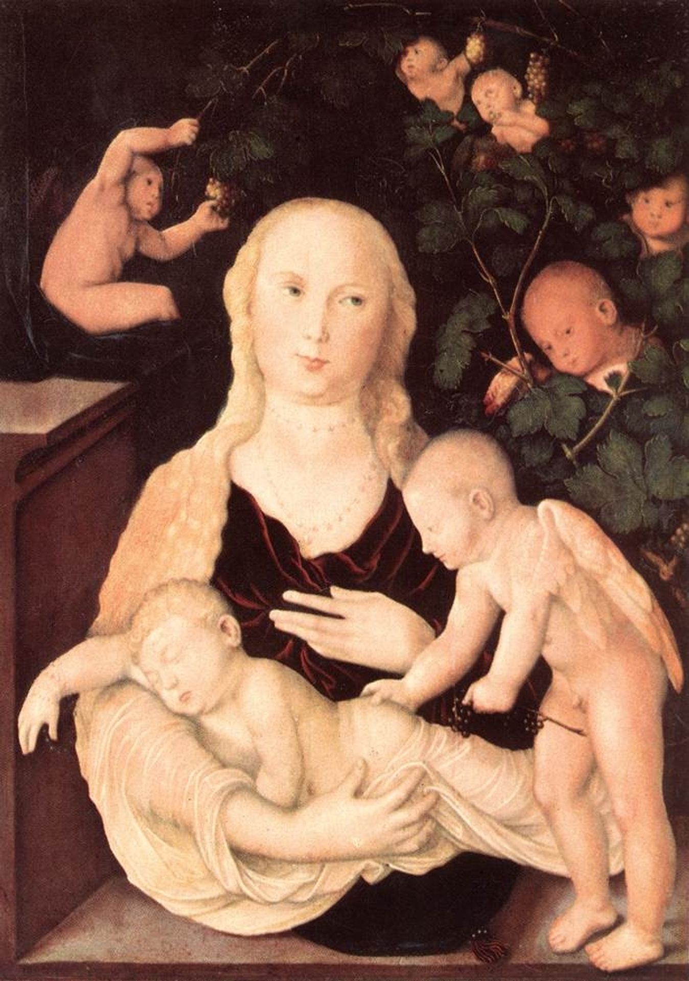 Virgin Of The Vine Trellis by Hans Baldung