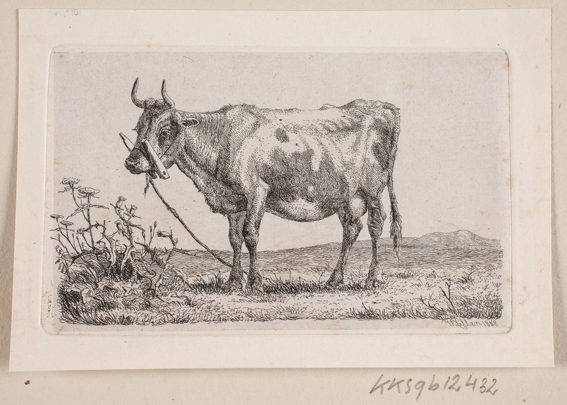 En ko by Johannes Wilhelm Zillen