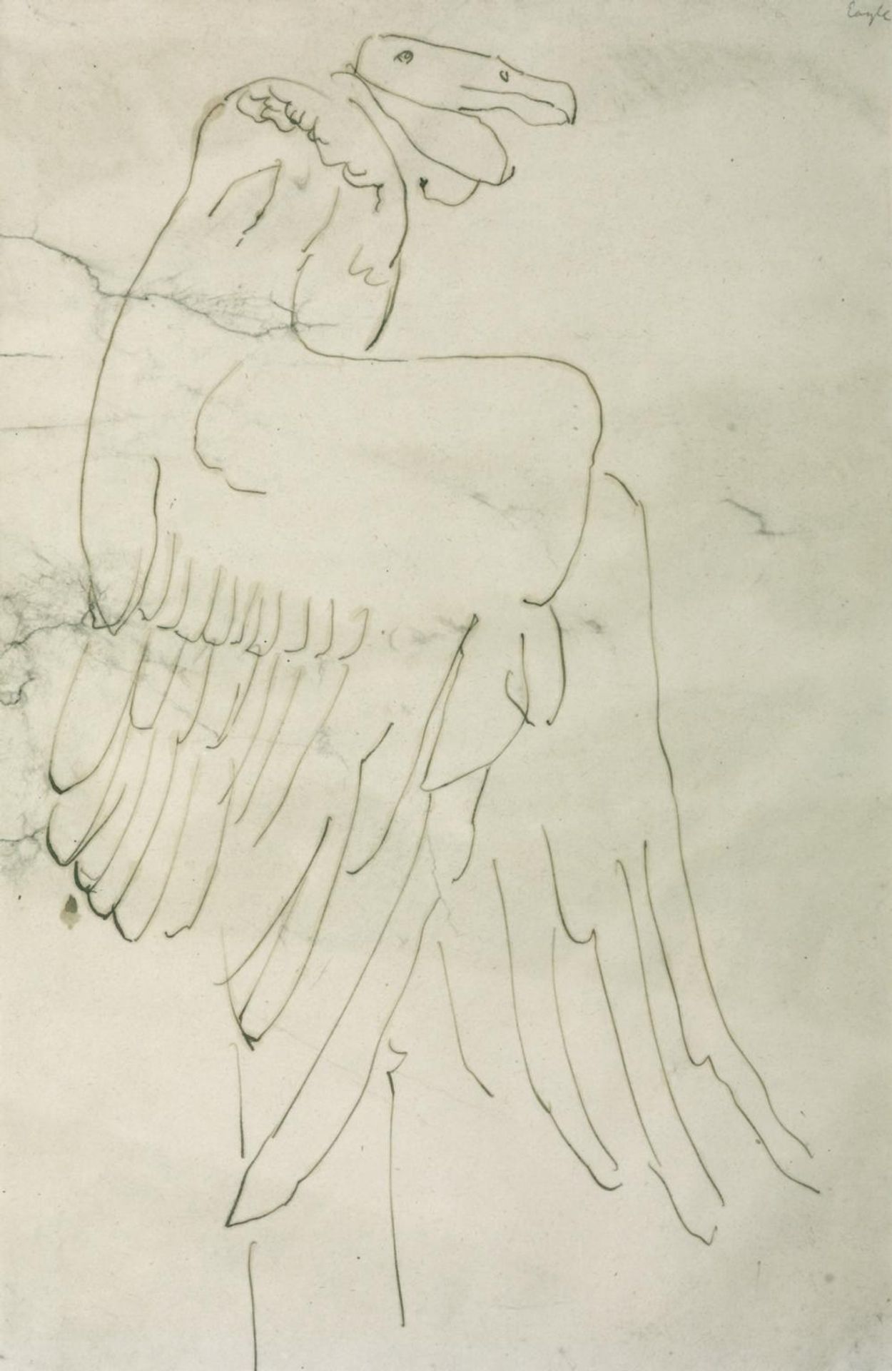 Vulture I by Henri Gaudier-Brzeska