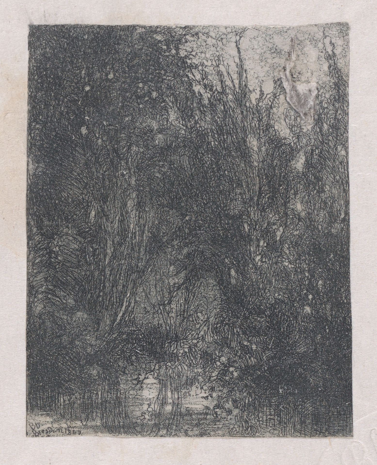 La Marécage (The Marsh) by Rodolphe Bresdin
