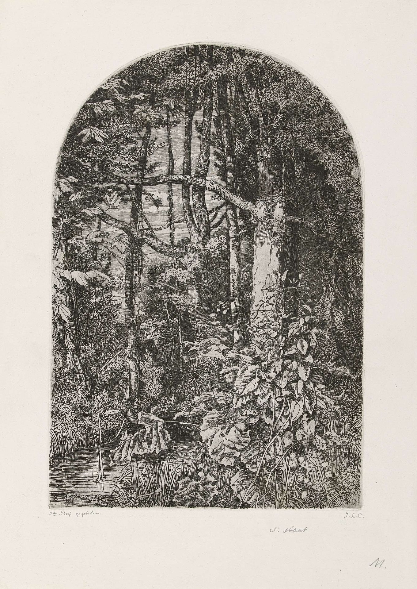 Bos met beek by Jacobus Ludovicus Cornet