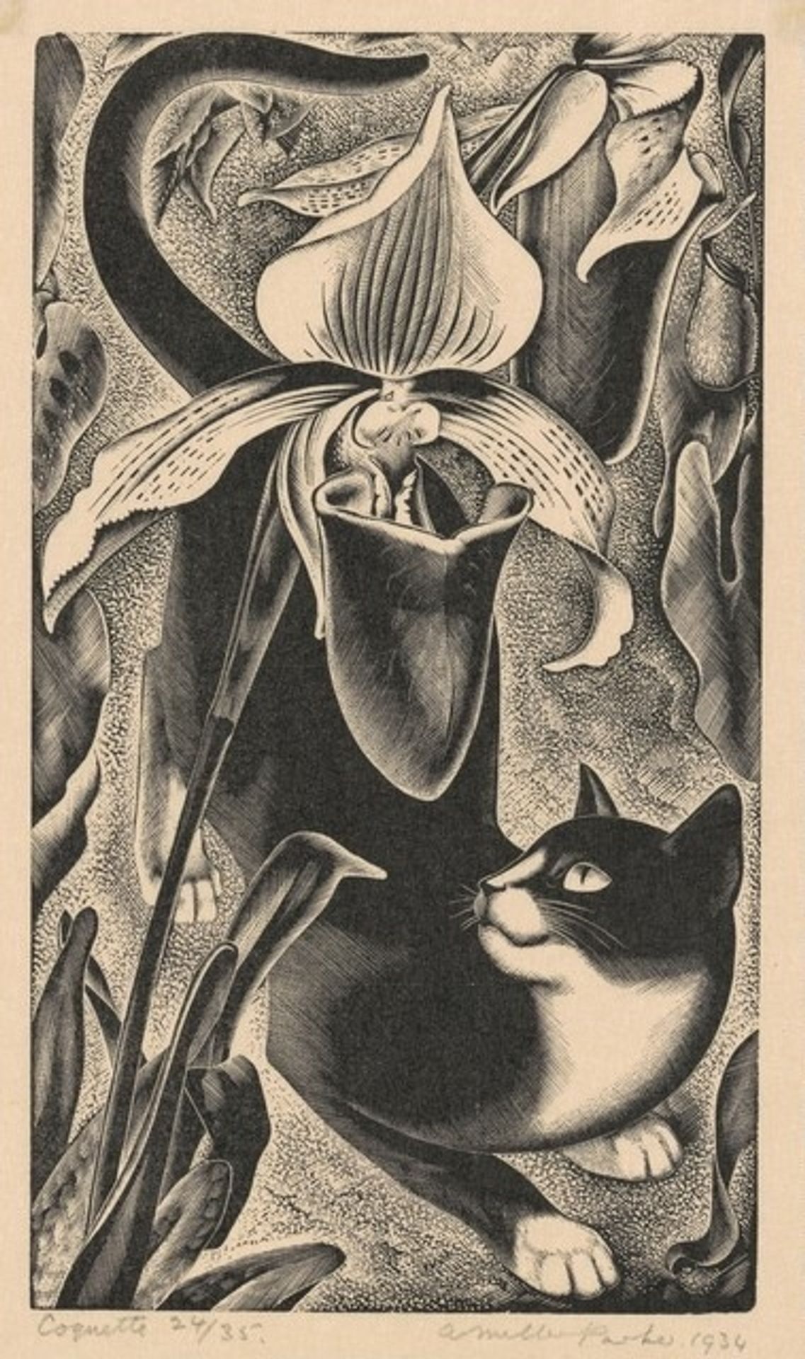 Coquette by Agnes Miller Parker