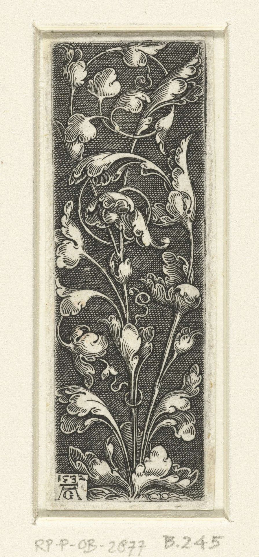 Bladranken by Heinrich Aldegrever
