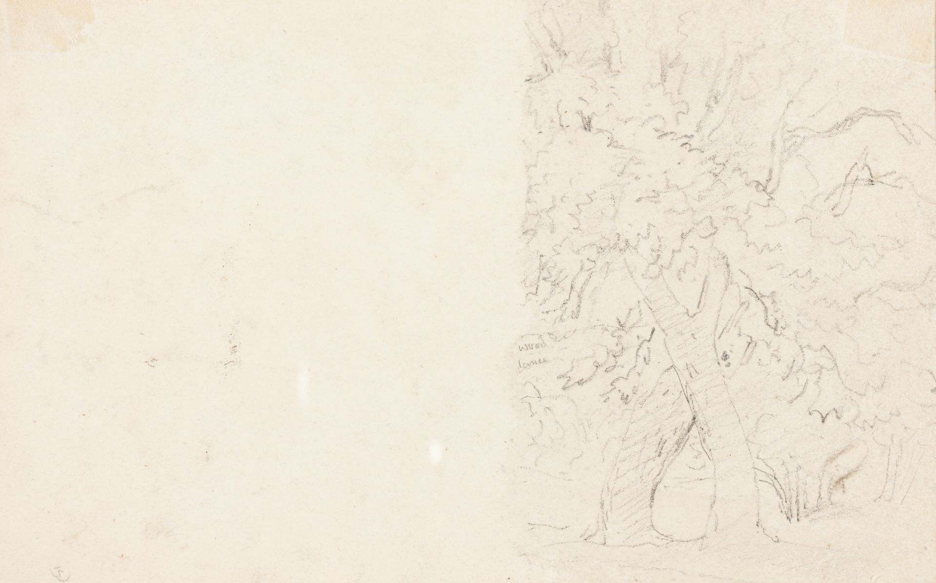 Trees [verso] by David Cox