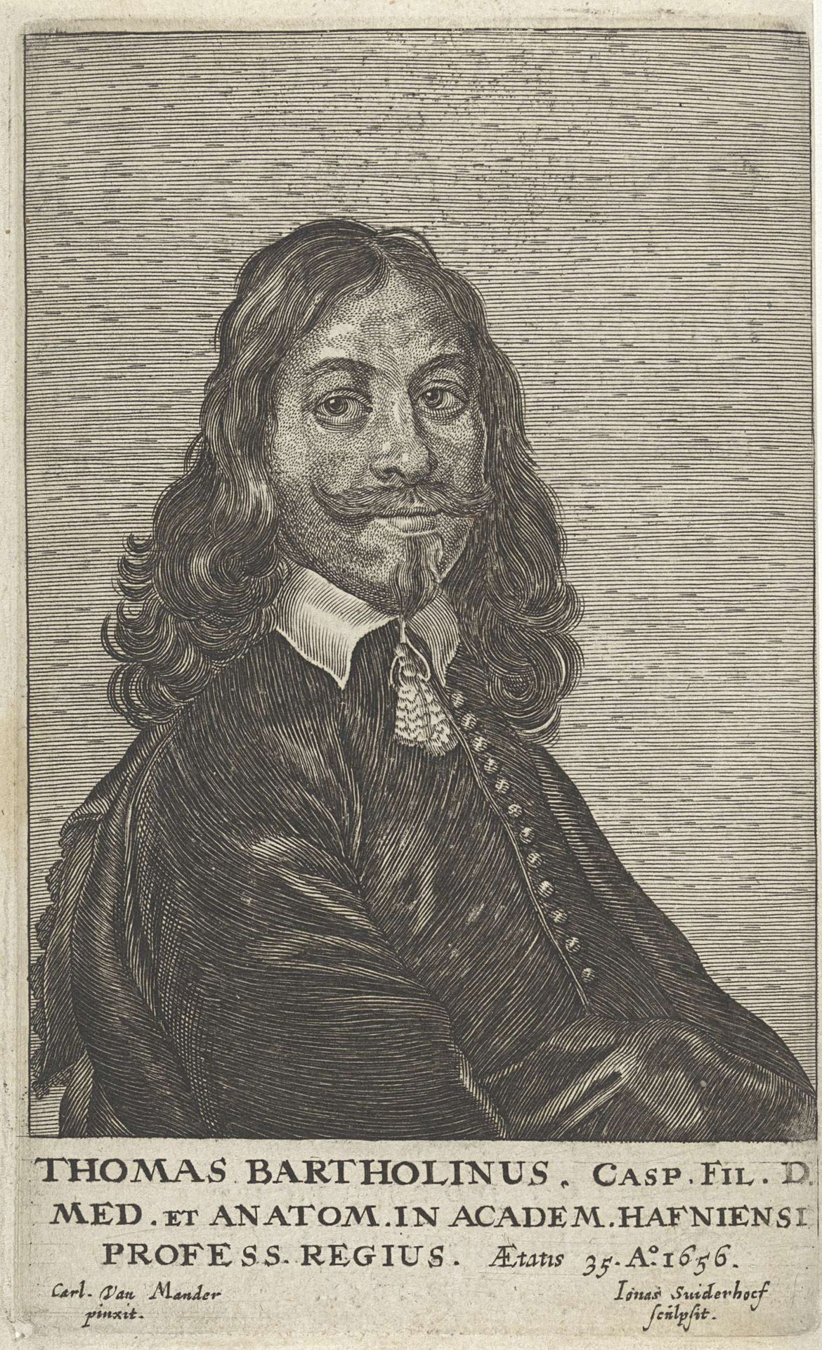 Portret van Thomas Bartholinus by Jonas Suyderhoef