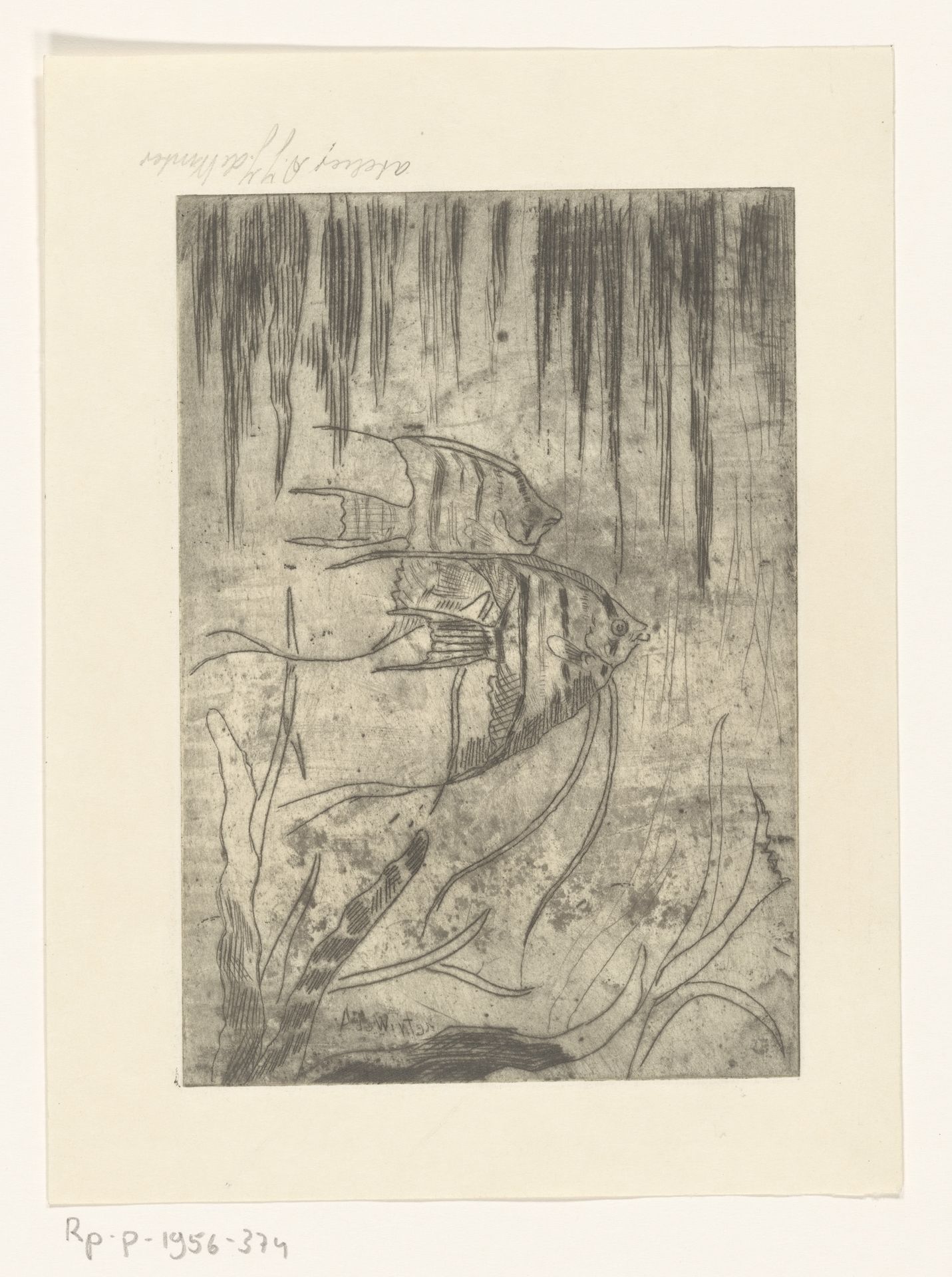 Twee siervissen by Janus de Winter