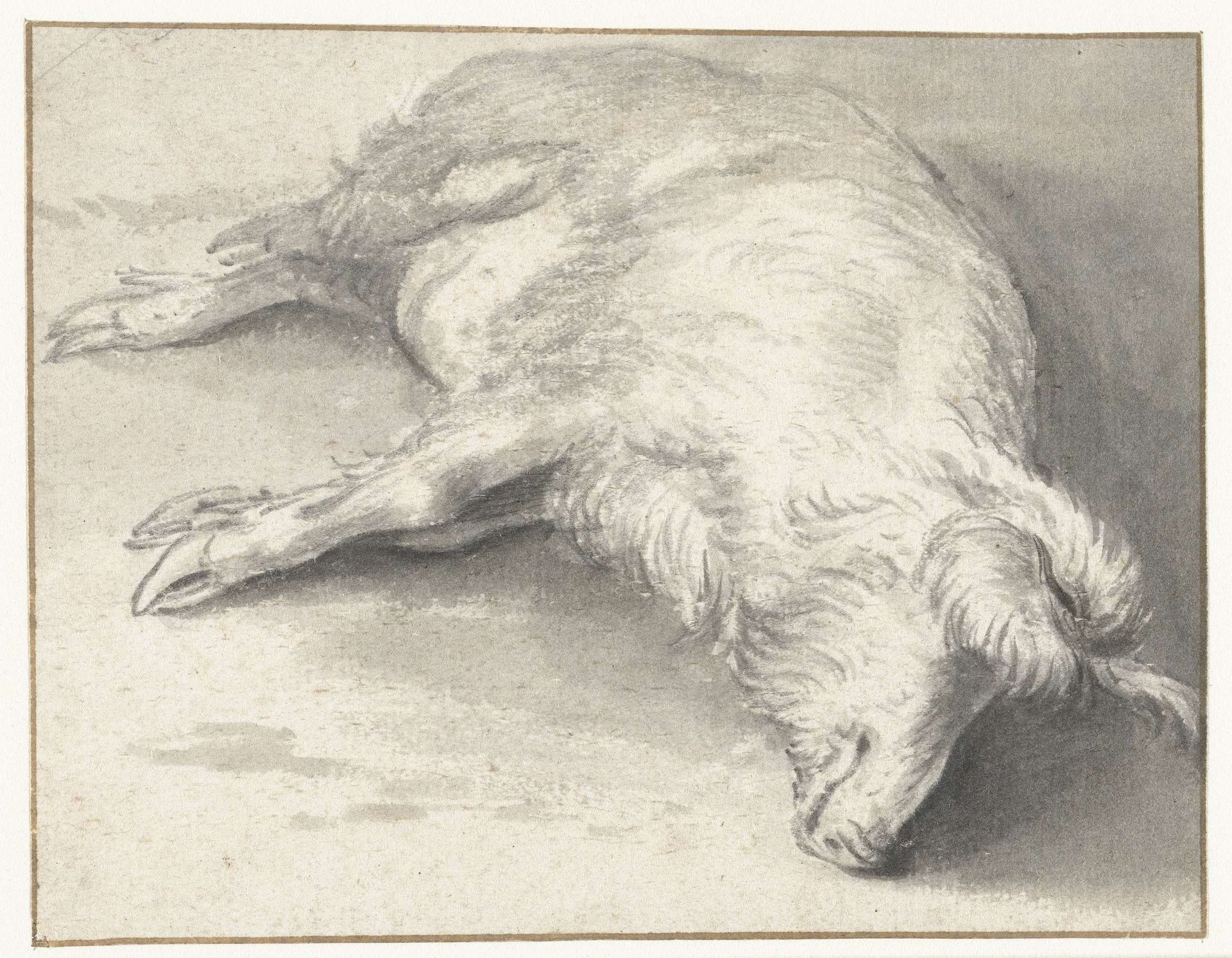 Recumbent Pig by Adriaen Verdoel I