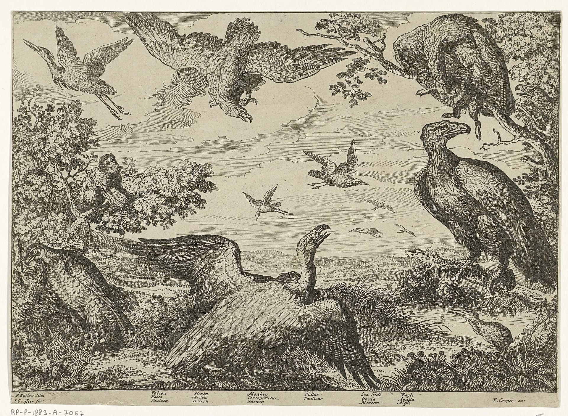 Verschillende vogels en een aap by Jan (I) Griffier