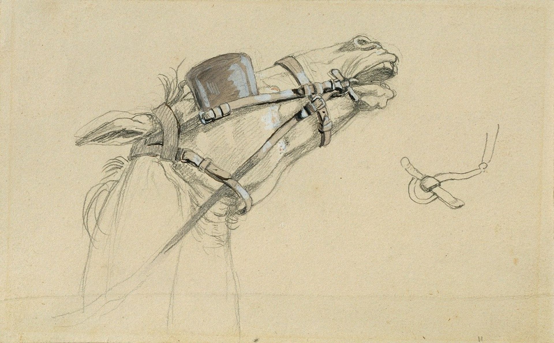Studie eines Pferdekopfes zu ‘Rückkehr des Kaisers Franz aus Pressburg’ by Johann Peter Krafft