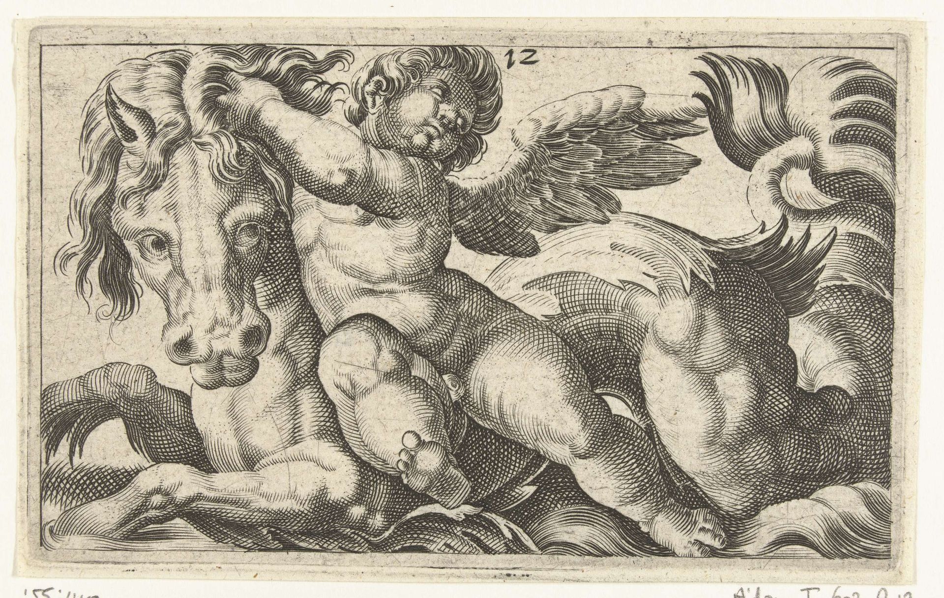 Putto, op een zeepaard gezeten by Adam Fuchs