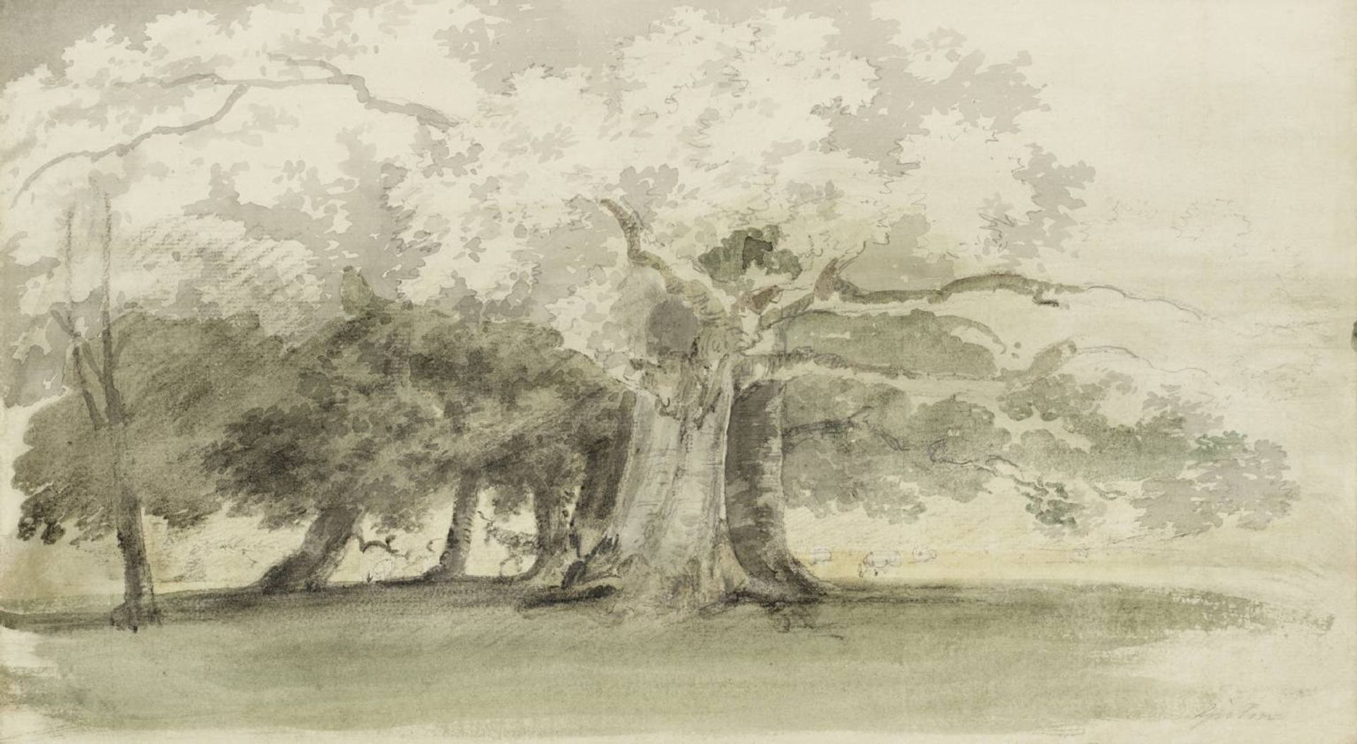 Trees in a Park by Thomas Girtin