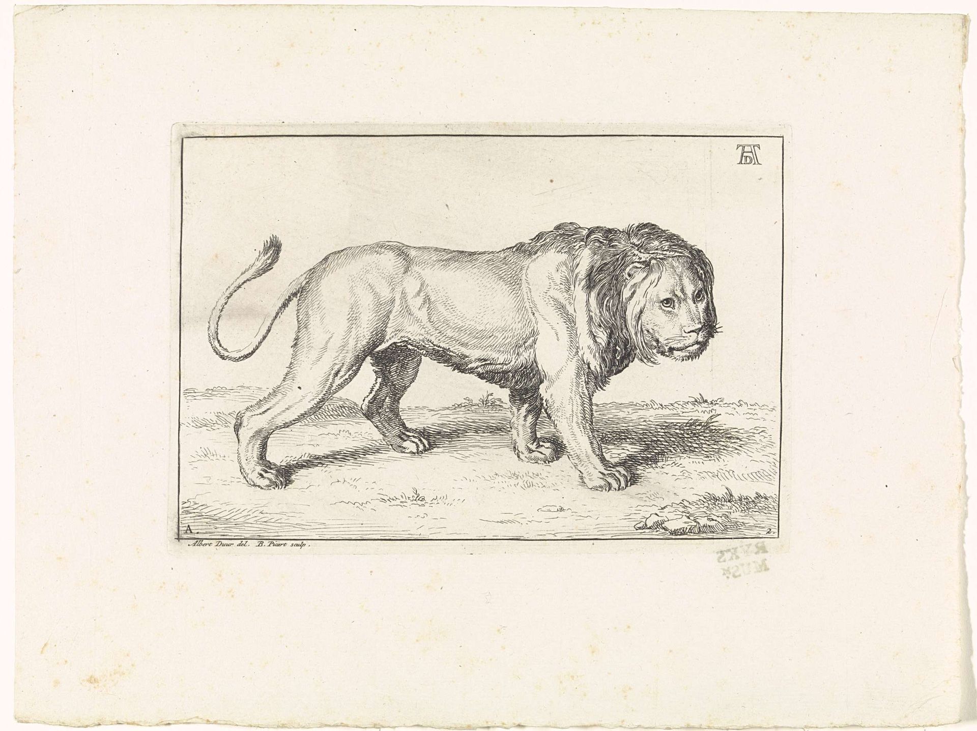 Landschap met leeuw by Bernard Picart