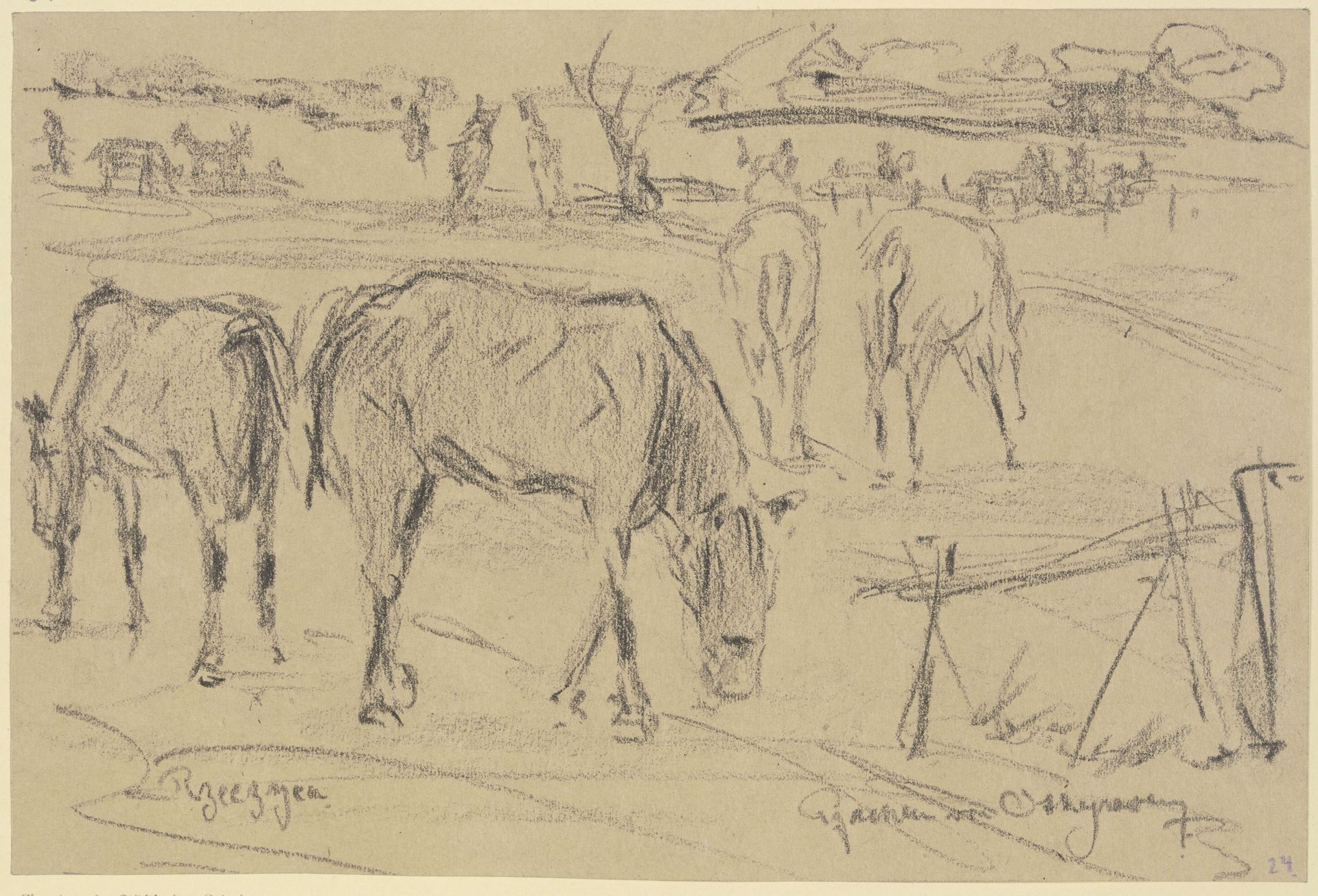 Weidende Pferde in Rzeczyca, Russisch-Polen by Reinhard Pfaehler von Othegraven