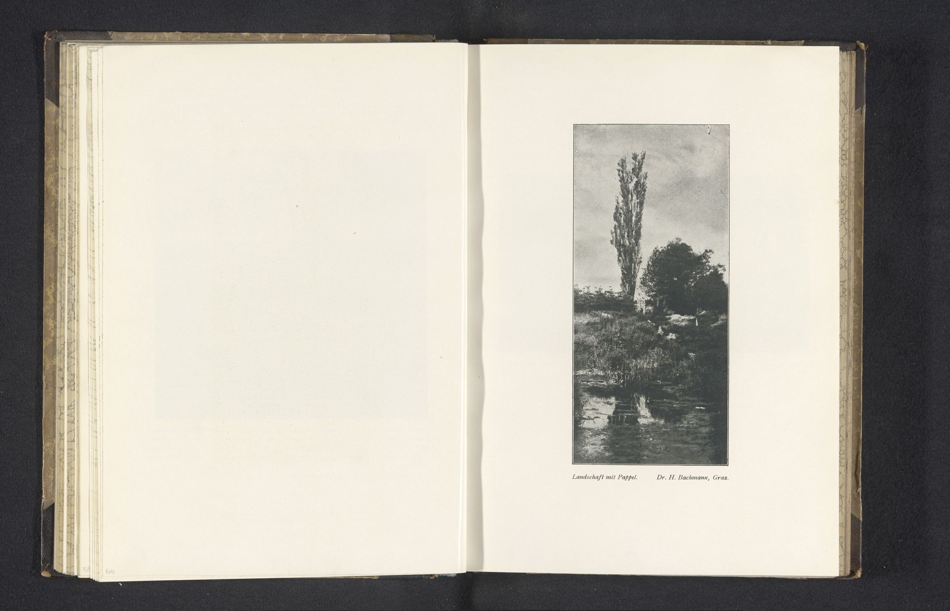 Landschap met populier by H. Bachmann