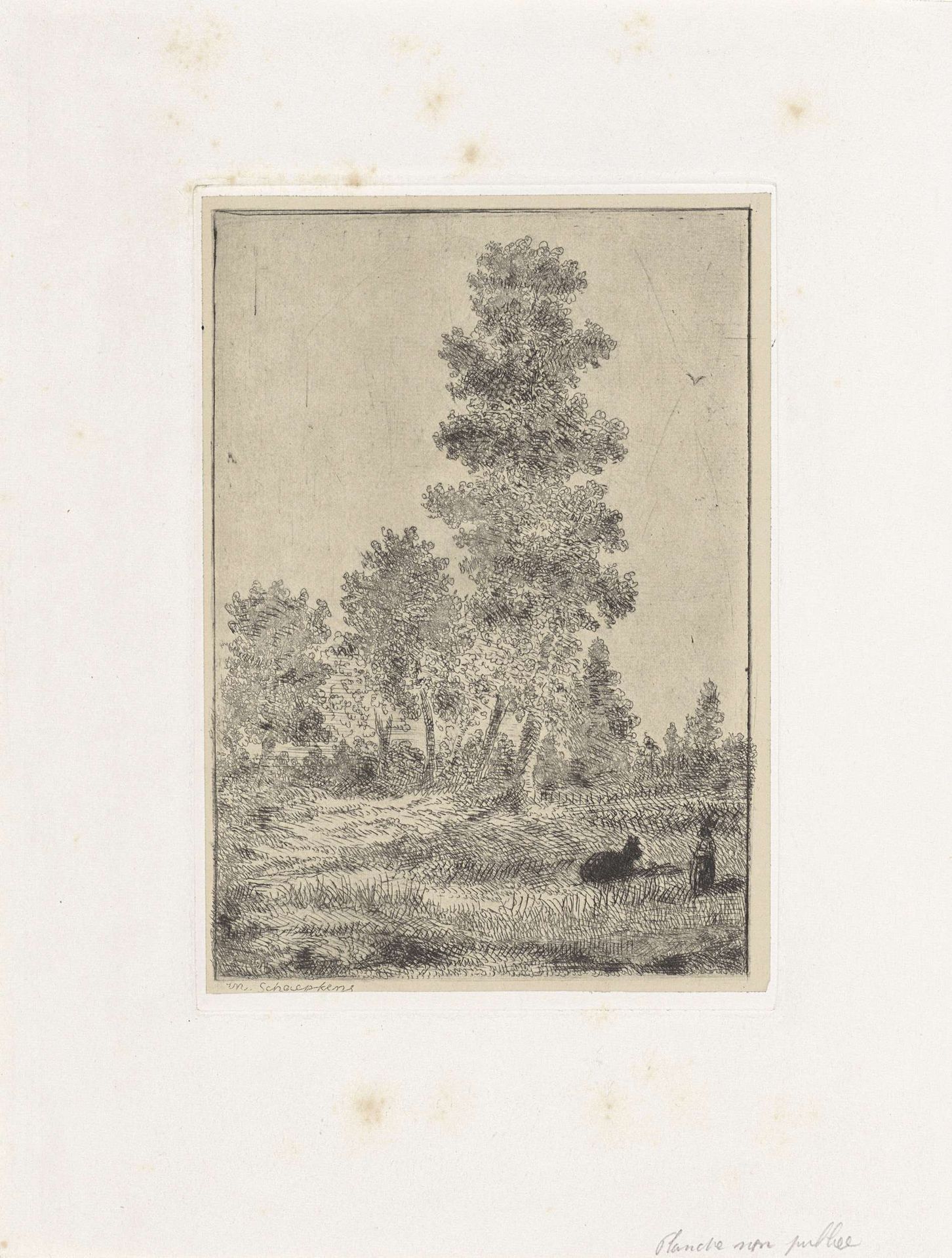 Meisje met dier op een weide langs een bos by Arnoud Schaepkens