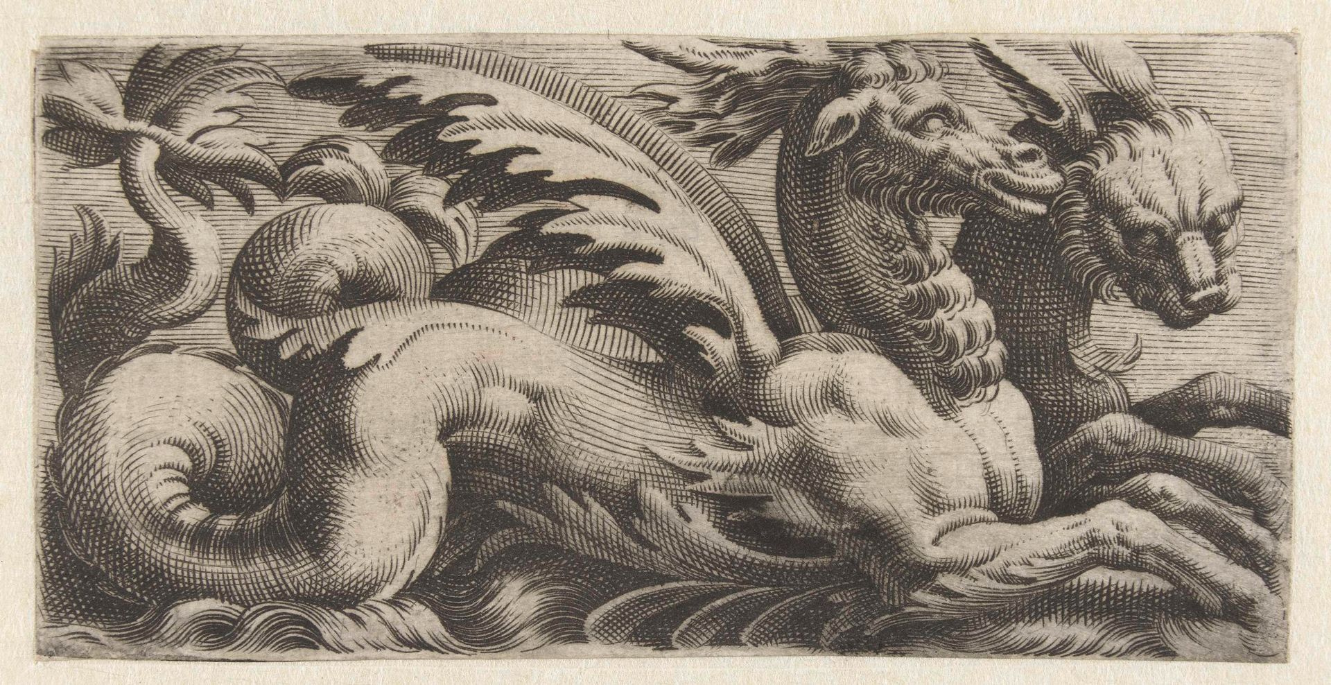 Twee zeewezens naast elkaar by Giovanni Andrea Maglioli