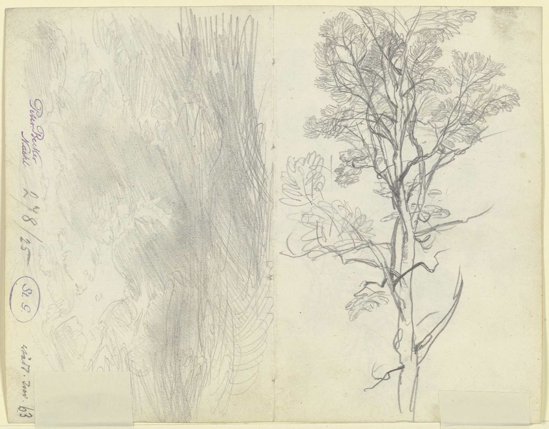 Tree by Peter Becker