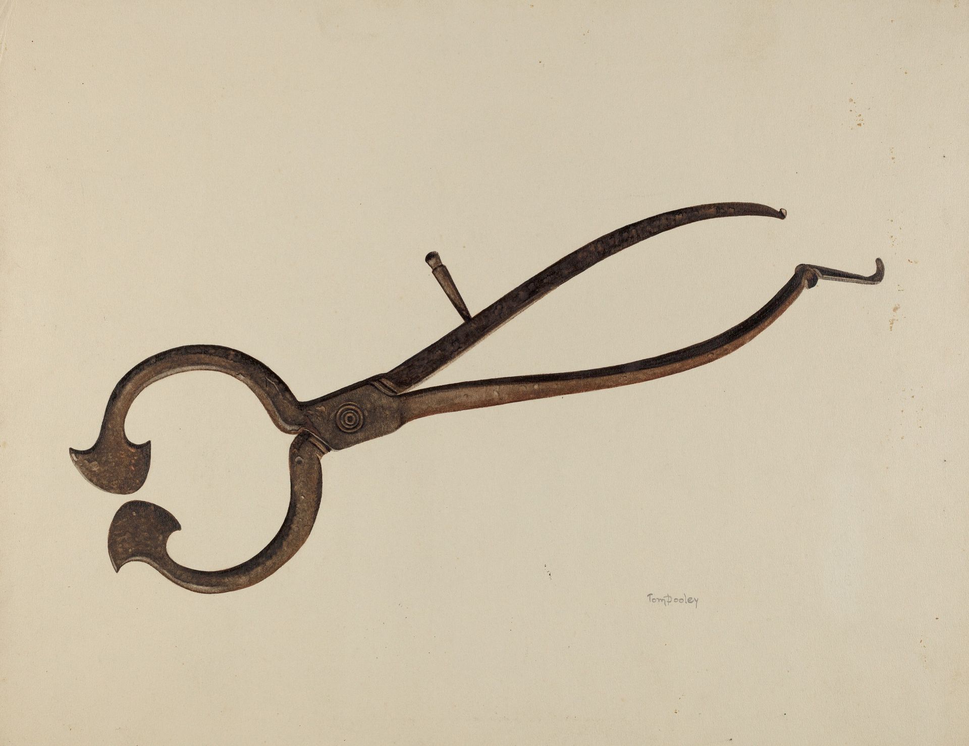 Loaf Sugar Cutter by Thomas Dooley