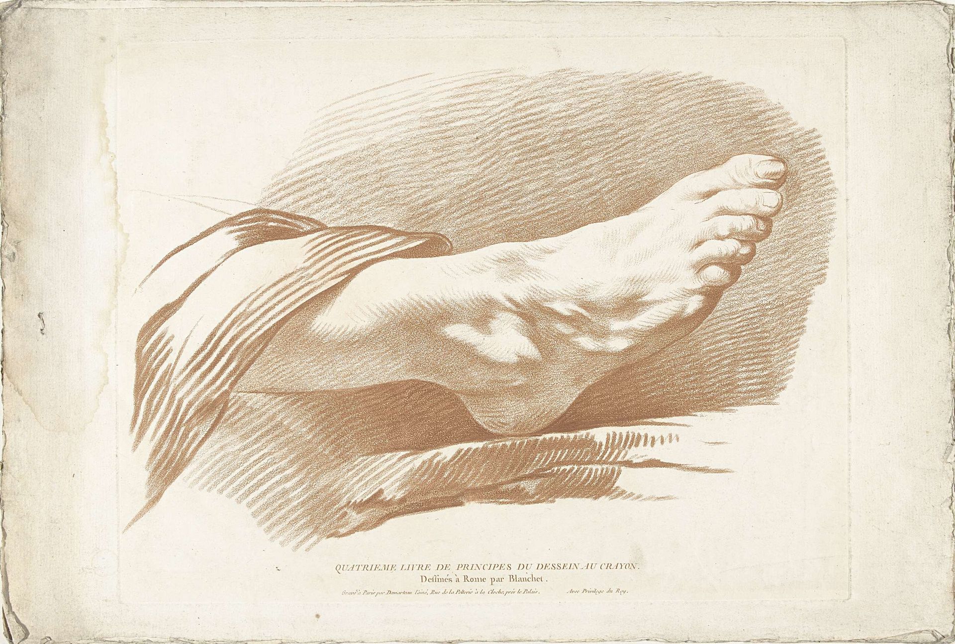Studie van rechtervoet by Gilles Demarteau