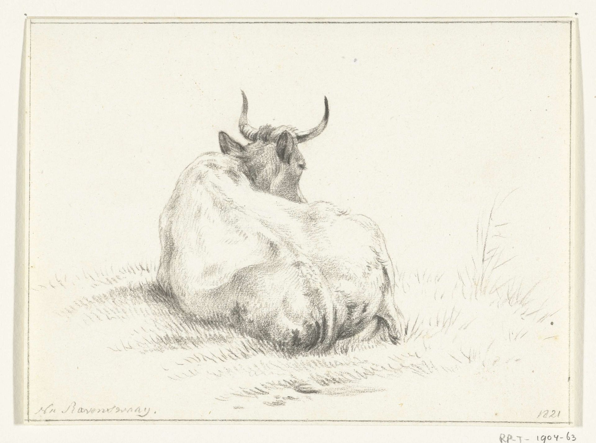 Liggende koe, van achteren by Jean Bernard
