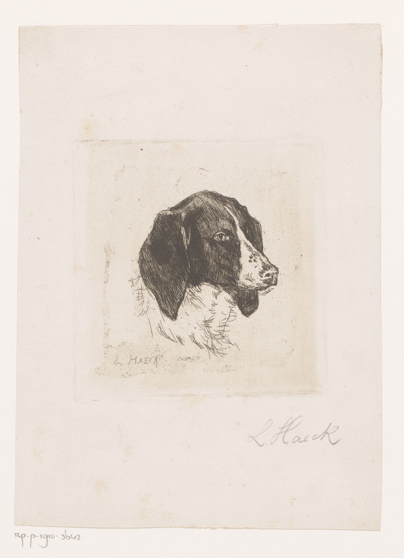 Hondenkop by Léopold Haeck