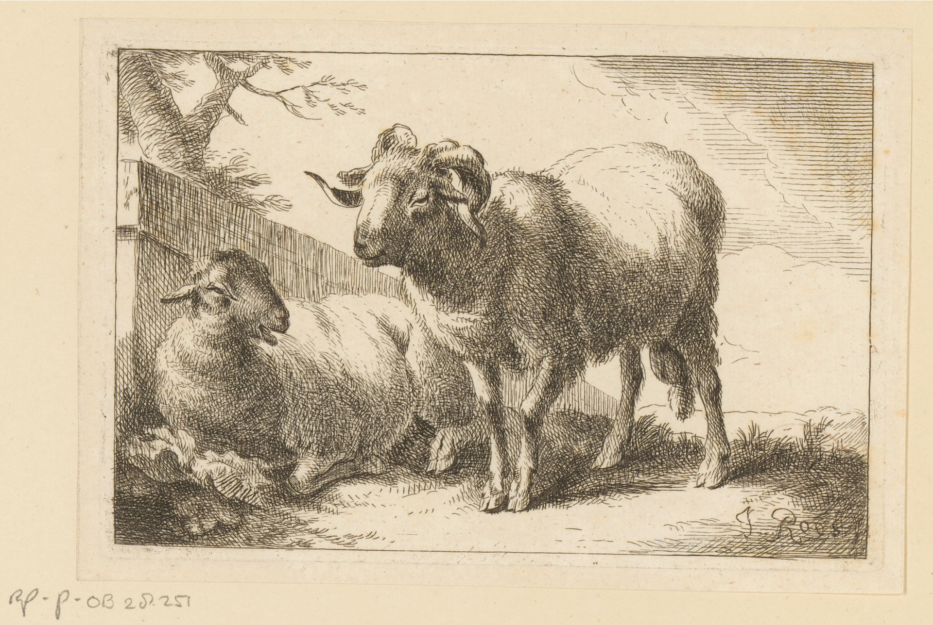 Schaap en een ram by Joseph (I) Roos