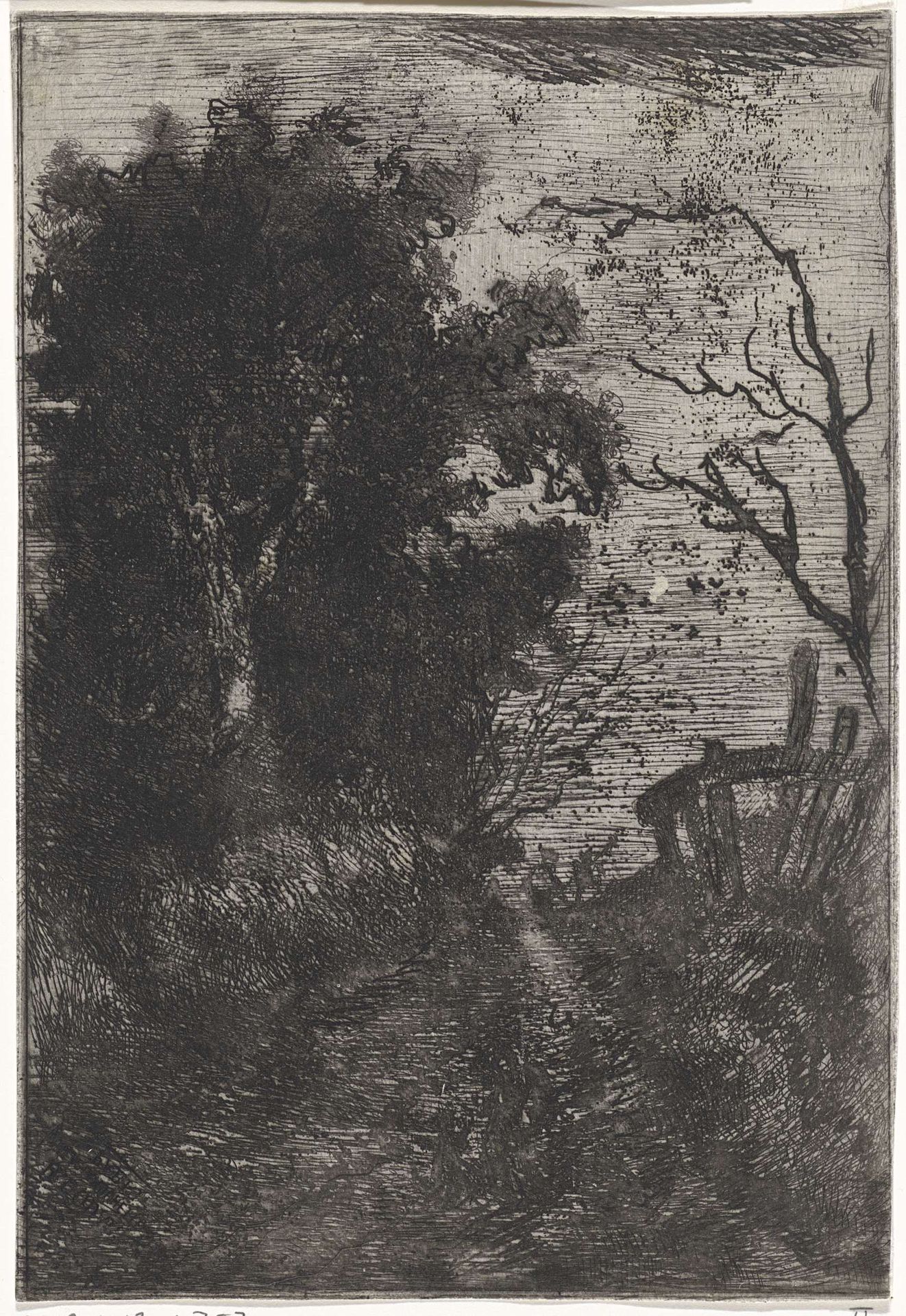Wandelaar op een pad langs de bosrand by Arnoud Schaepkens