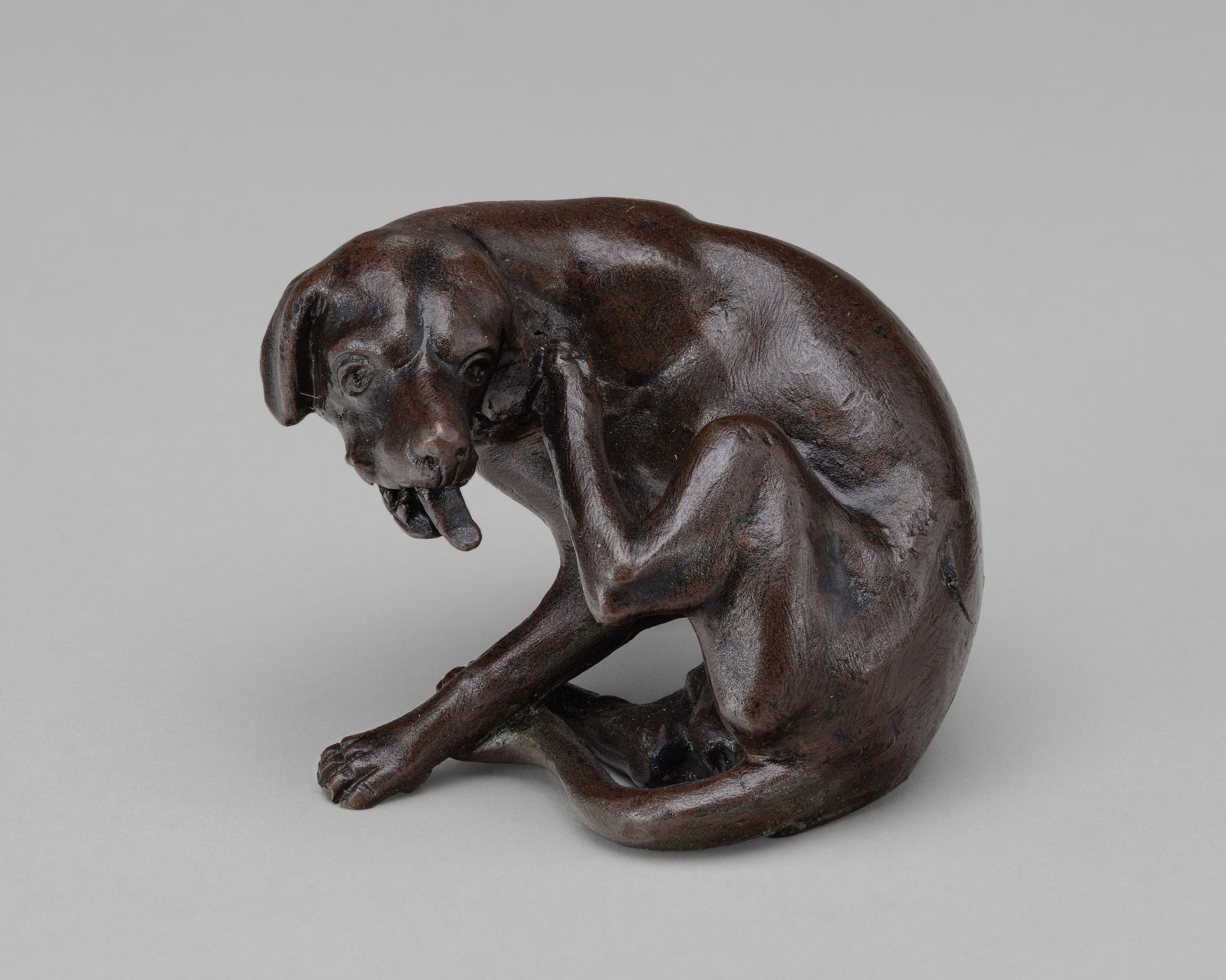 A Dog Scratching by Georg Schweigger