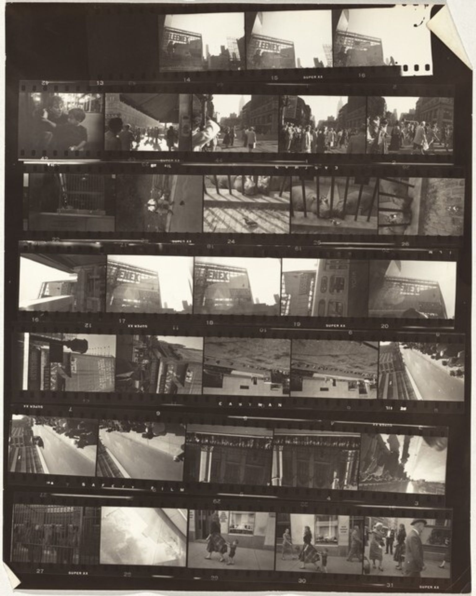 Family--New York City no number by Robert Frank