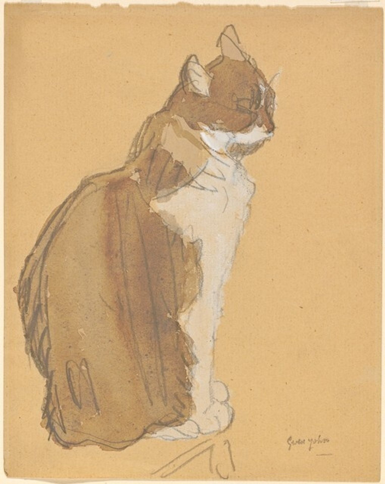 Cat with a White Front by Gwen John