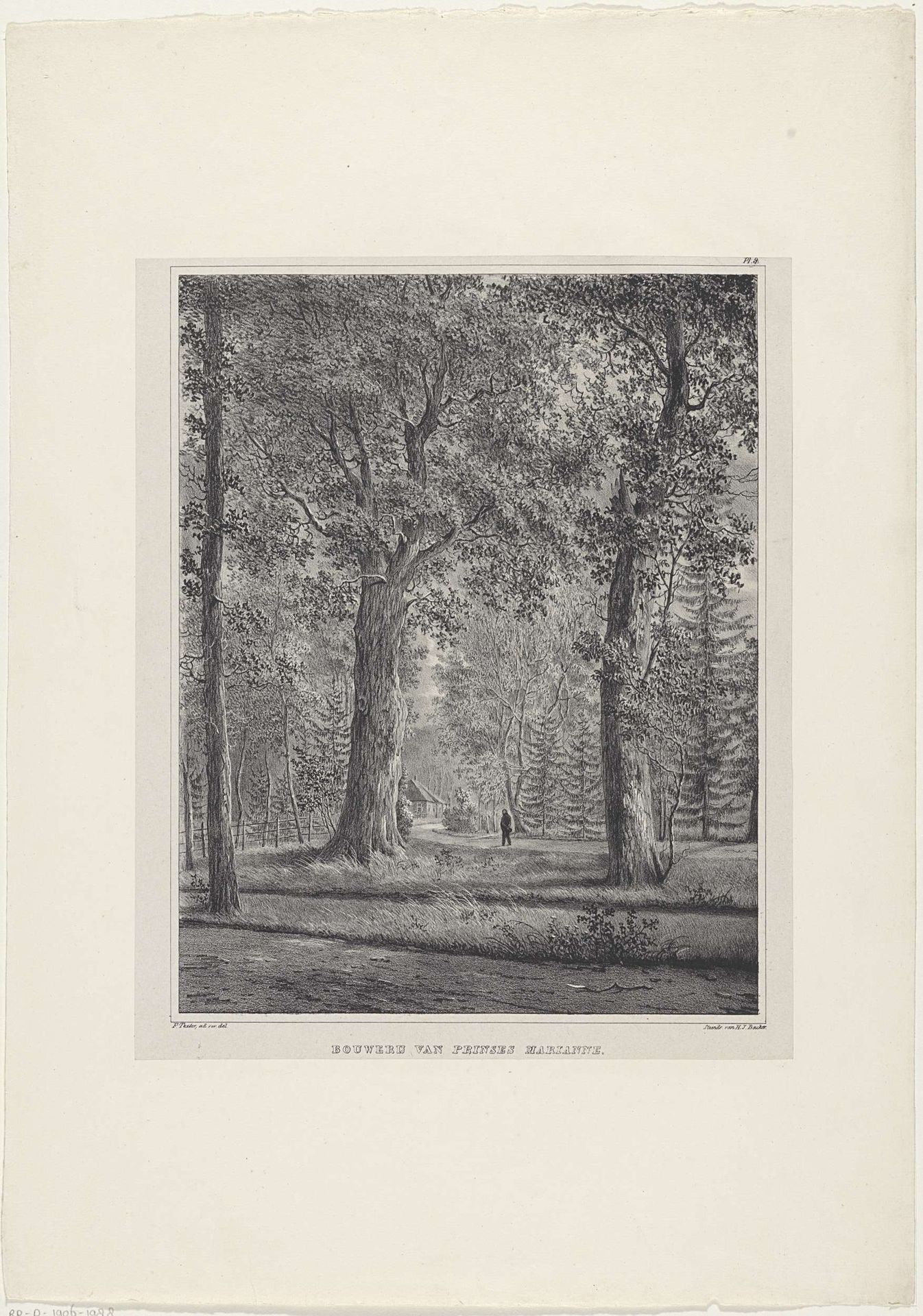 Bouwerij van Prinses Marianne by Anonymous