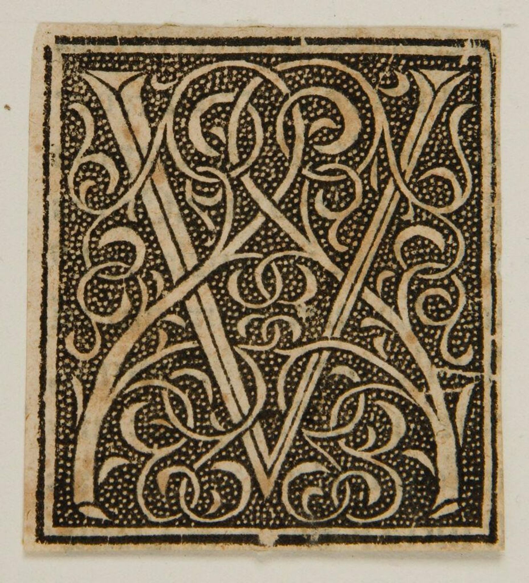 Initial V by Anonymous