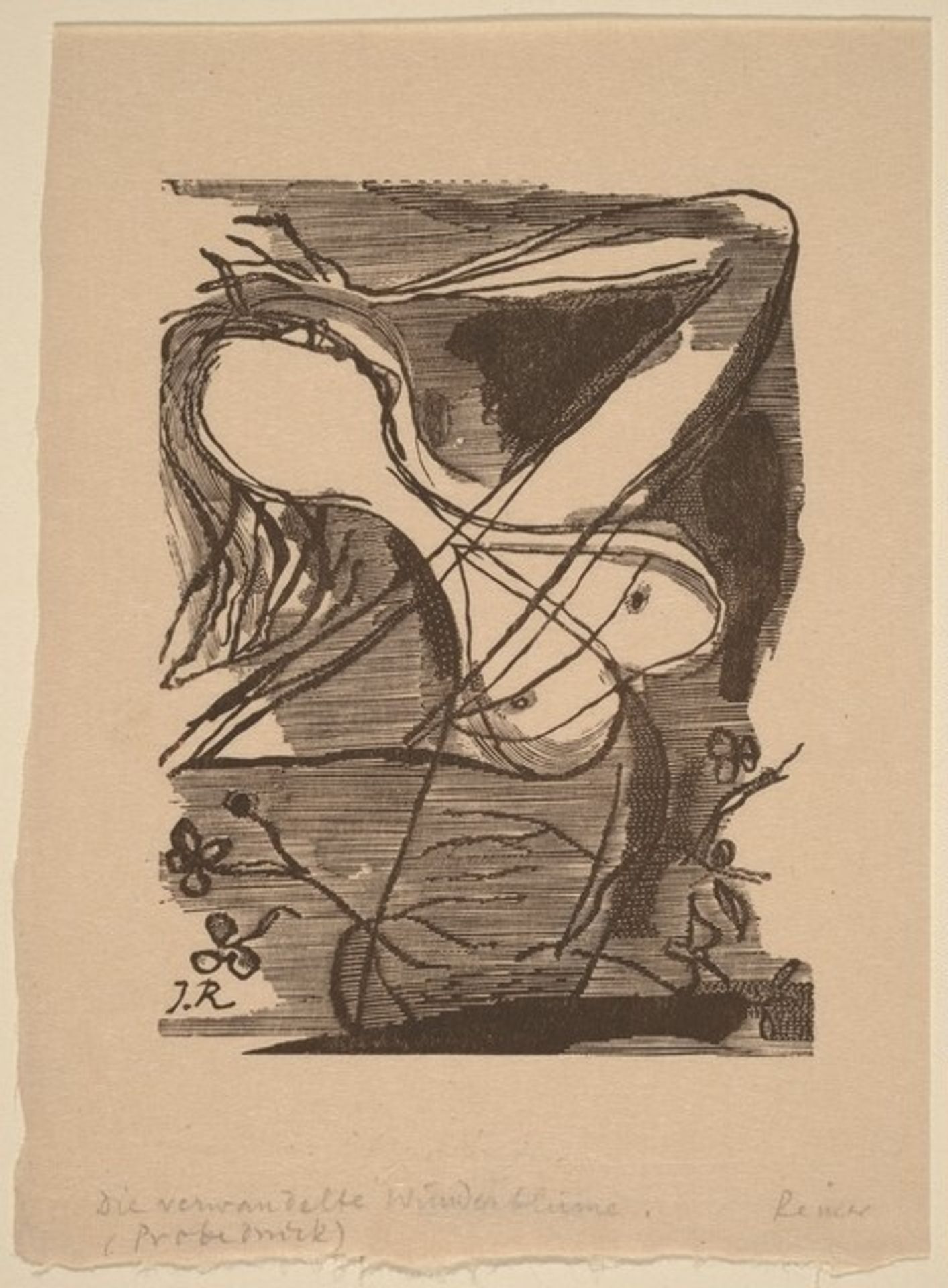 Die Verwandelte Wunderblume by Imre Reiner