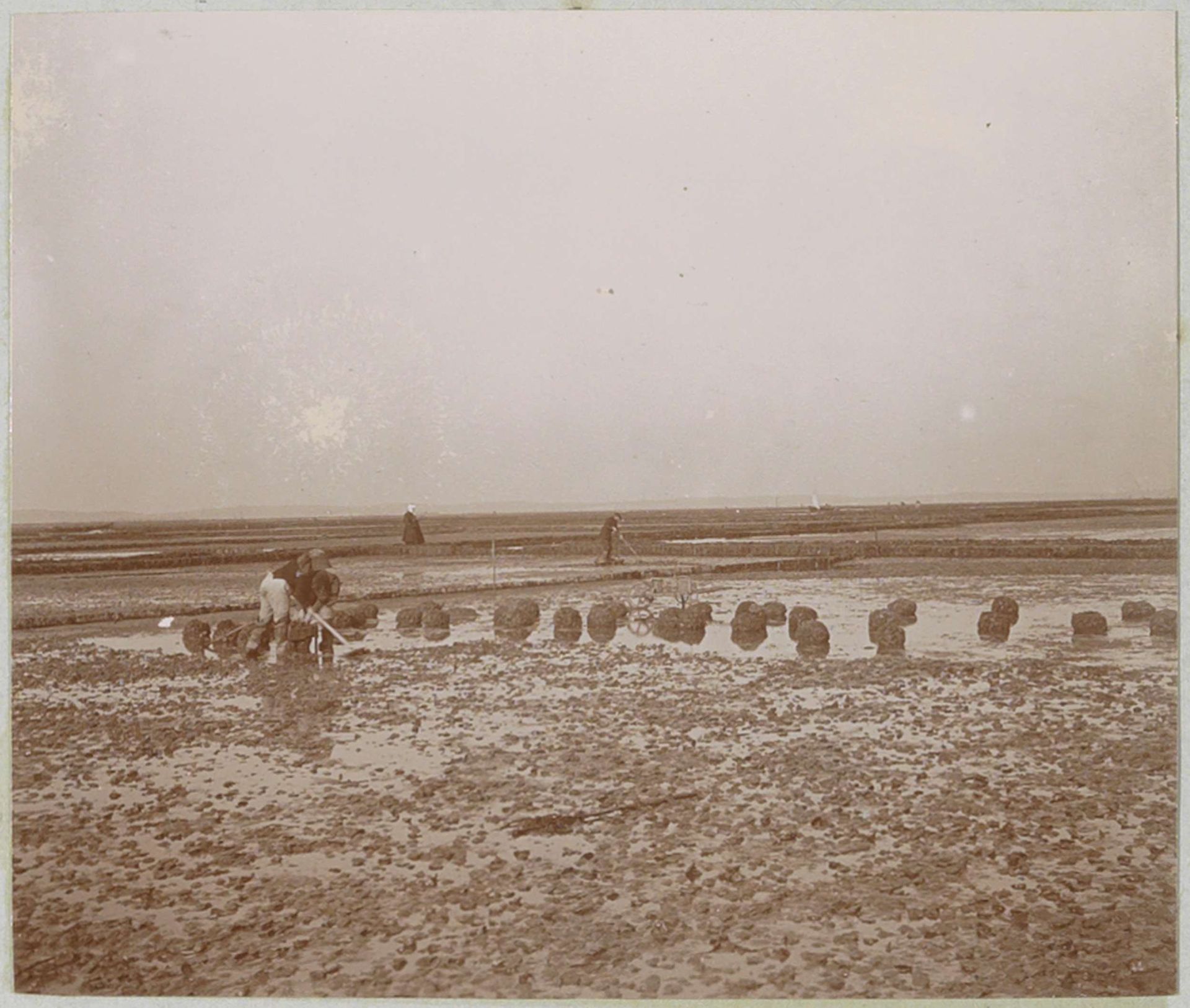 Modderig landschap met arbeiders, mogelijk een wad in Frankrijk by Delizy